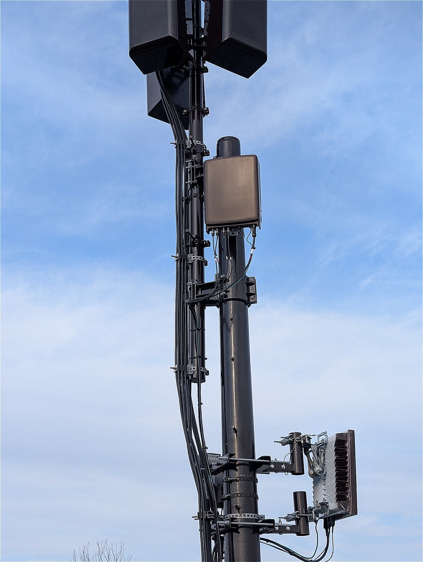 撮影：法林岳之