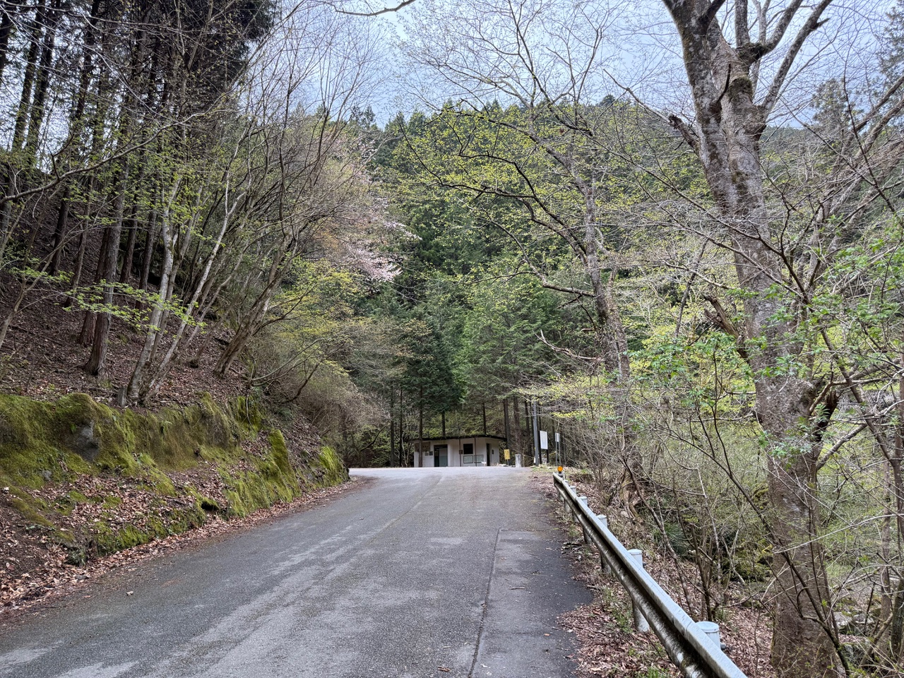 奥にあるのが目的の場所