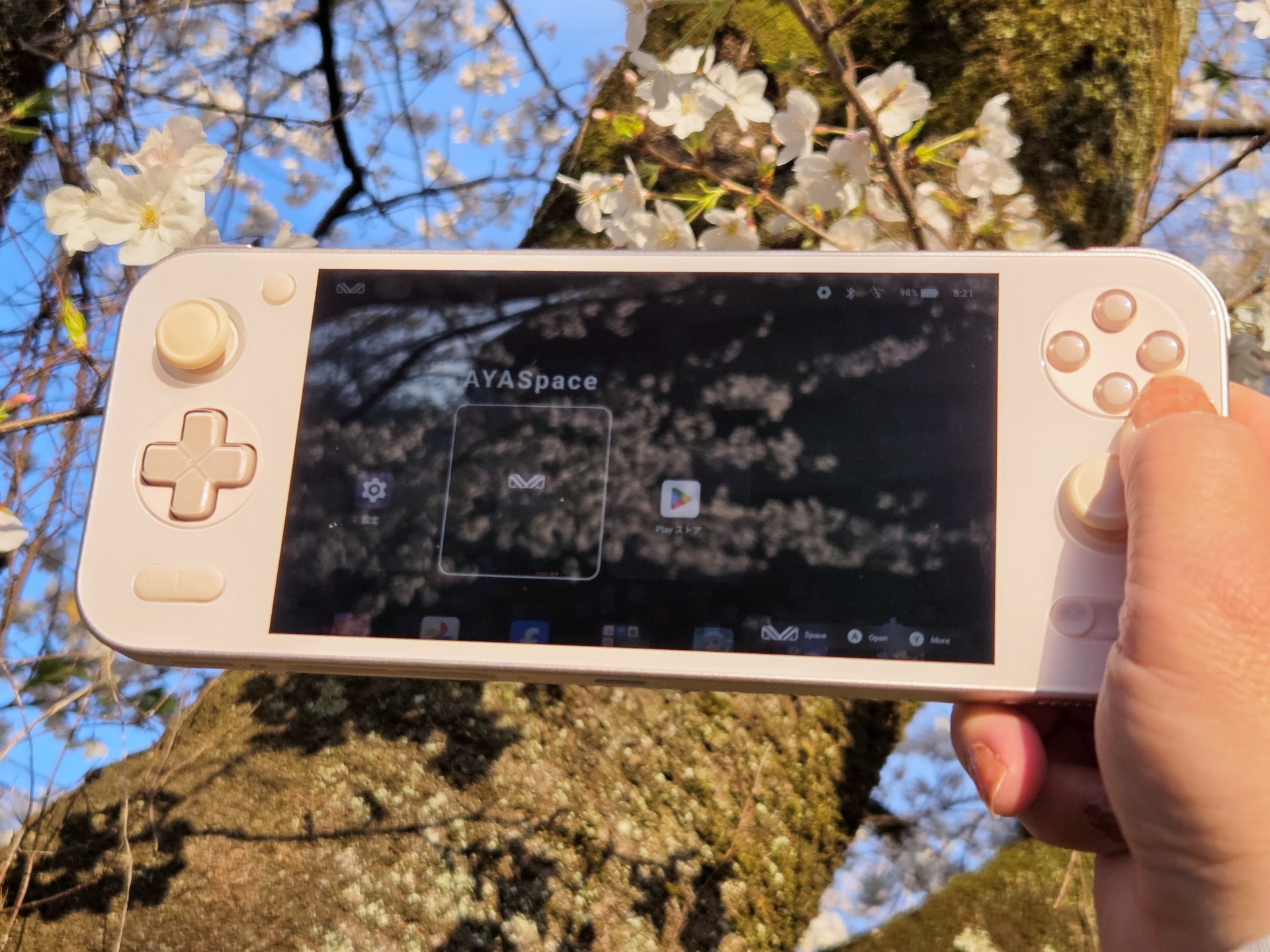 持ち歩くだけでもテンションがアガるしヒーリング効果も得られる