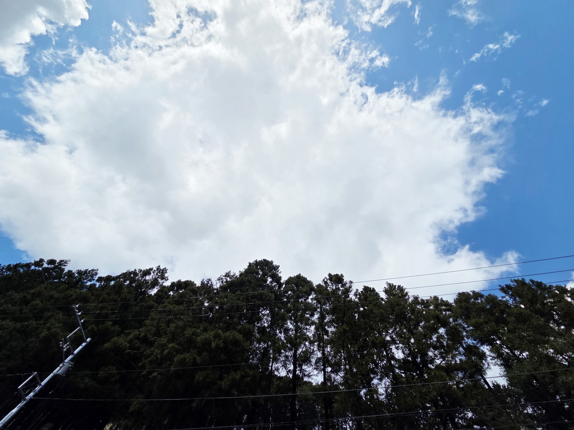 開けており、空がよく見える