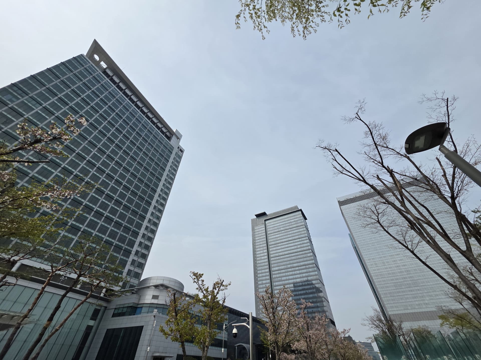 広大な敷地を持つサムスンデジタルシティ