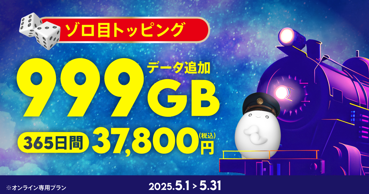 999GB（365日間）