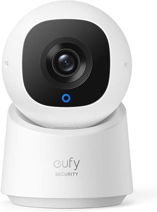 Indoor Cam C220
