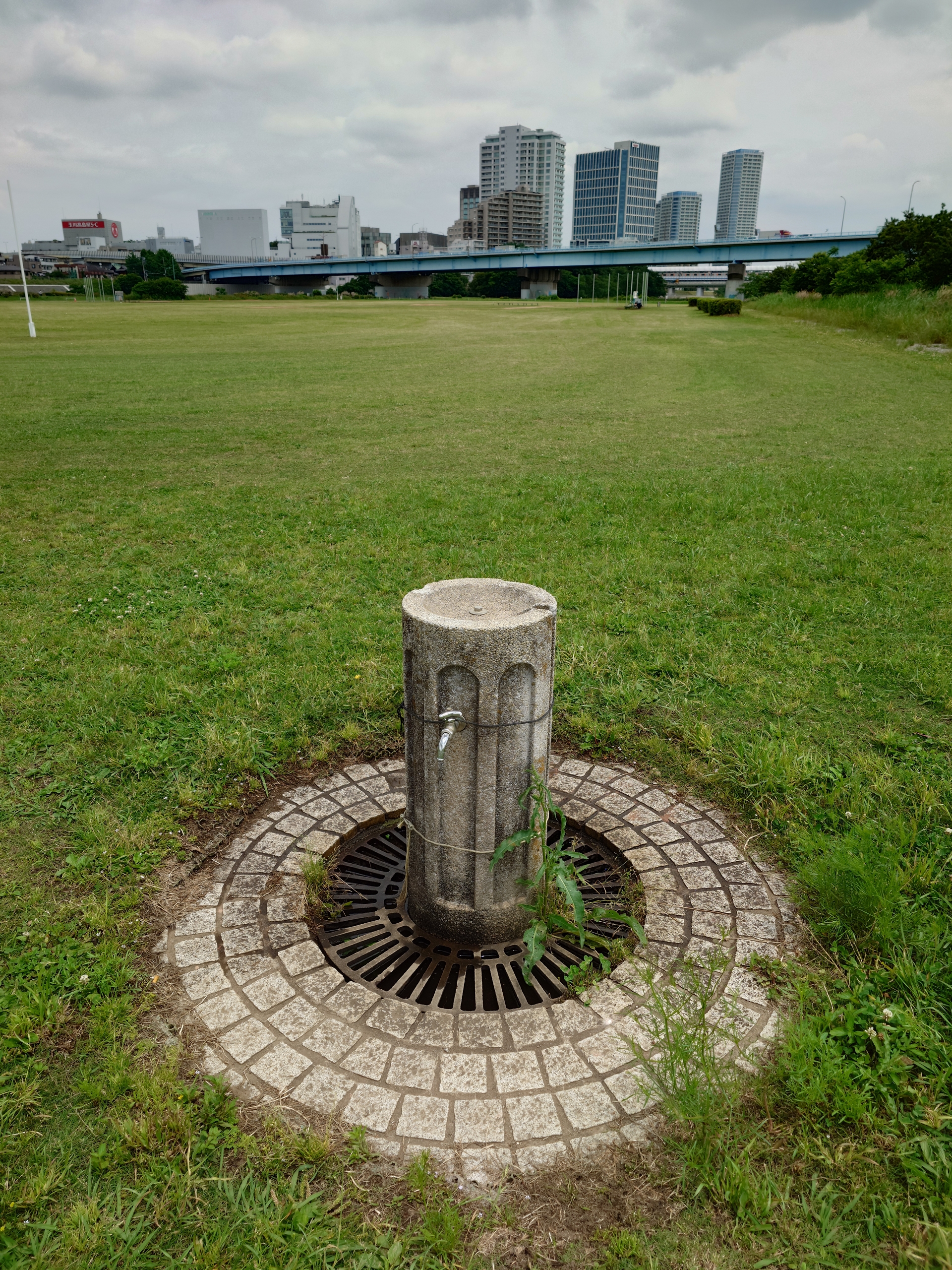 ピクセルビニングによる通常の12MPアウトプットと48MPアウトプットを比較してみた。やはり高画素による描写力は素晴らしい。蛇口の立体感と遠景の建物、芝の様子が比べものならない