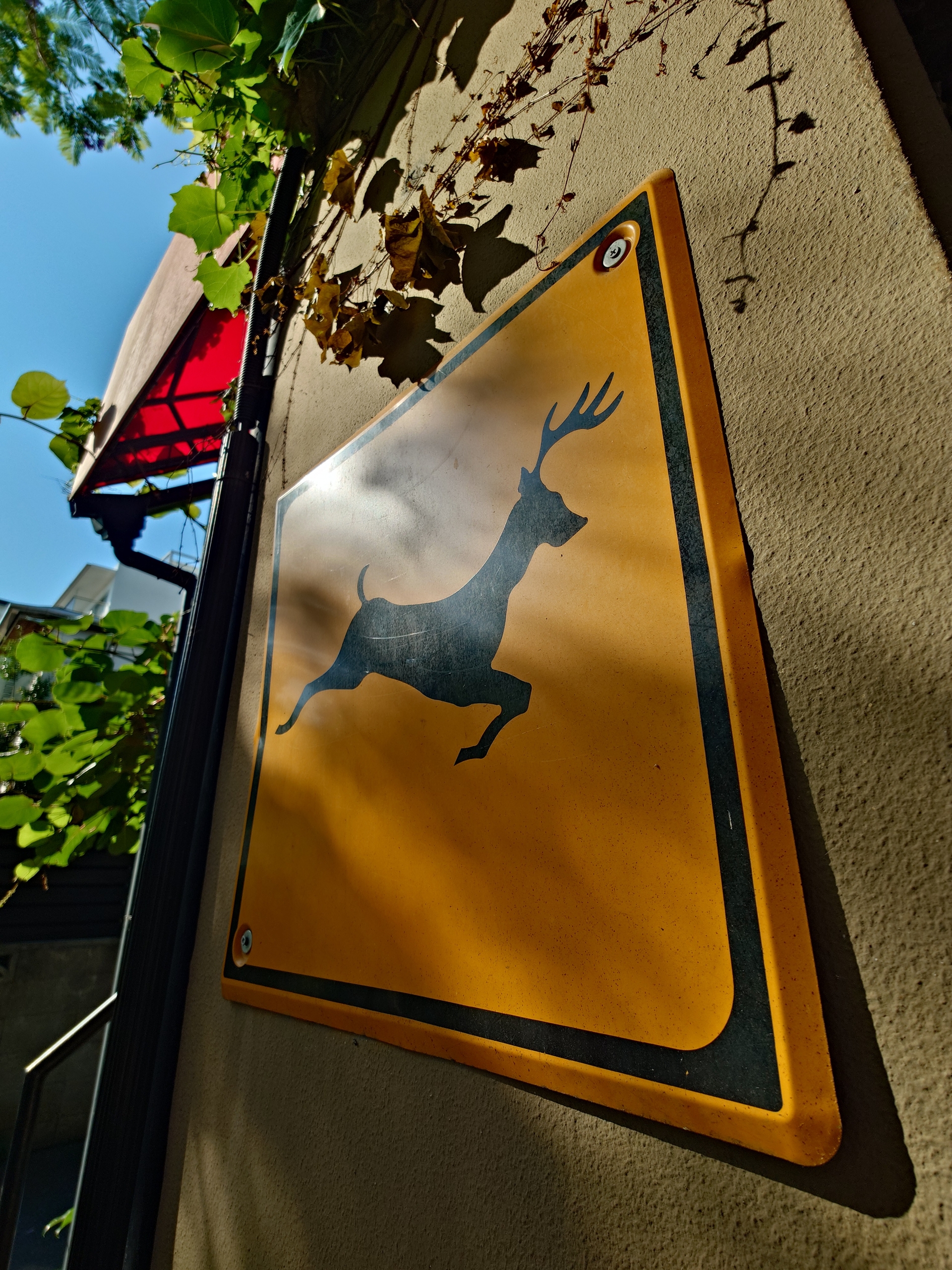 こちらも同様の写りを見せてくれた。この超広角カメラの描写力だけ見てもアップデートの価値があるだろう。もっとこの端末でいろいろ撮影したい！　と思ってしまったほど