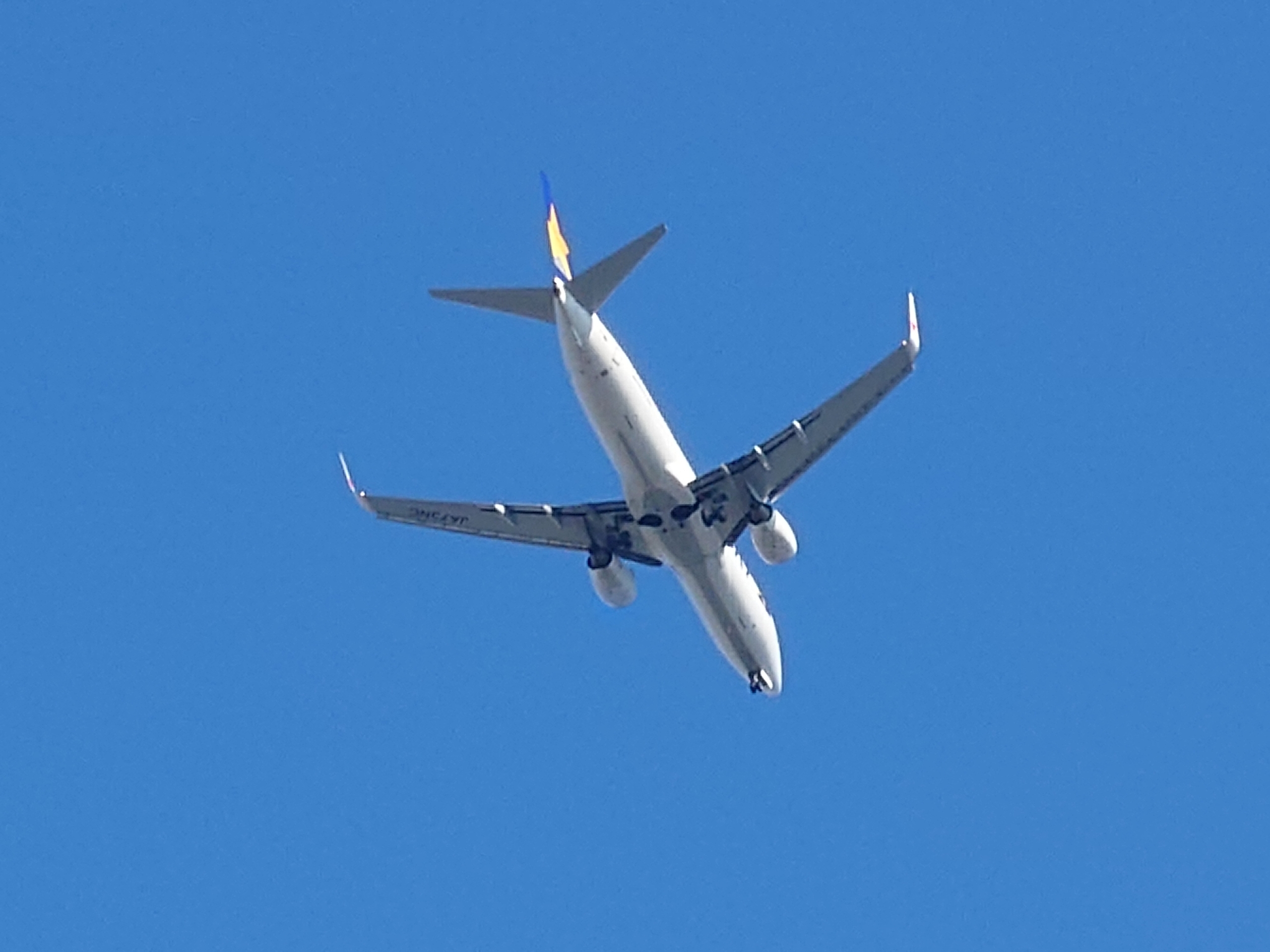 デジタルズーム最大で頭上を通過する航空機を撮った。明るく見やすいディスプレイは晴天時でも視認性が高く被写体を捉えやすかった。ジャギーが感じられるがまずまずの写りではないだろうか