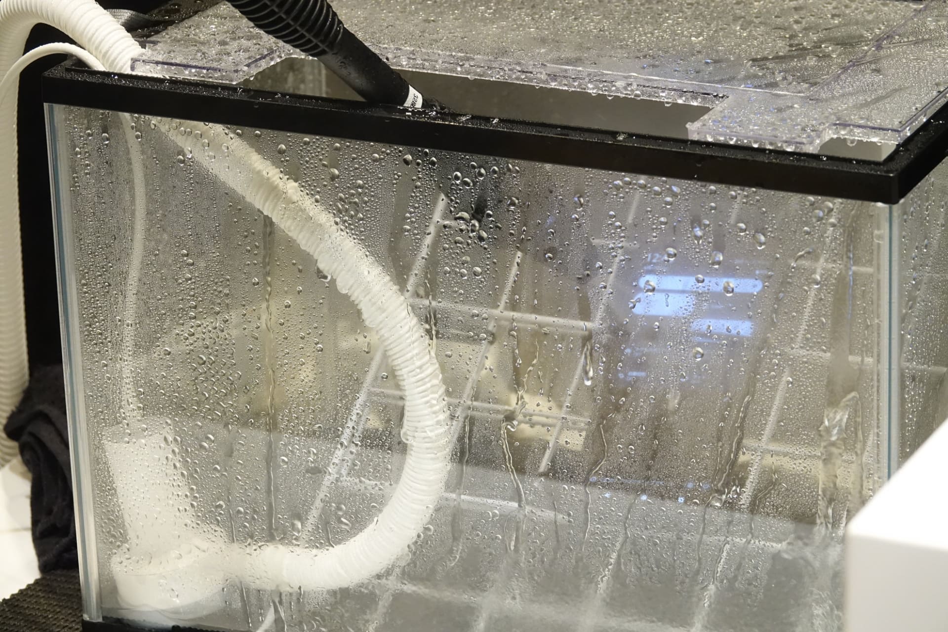 高圧洗浄機にさらされるarrows Alpha