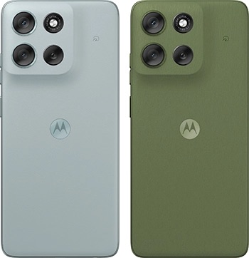 PANTONE Gray Mist（グレーミスト）、PANTONE Dill（ディルグリーン）