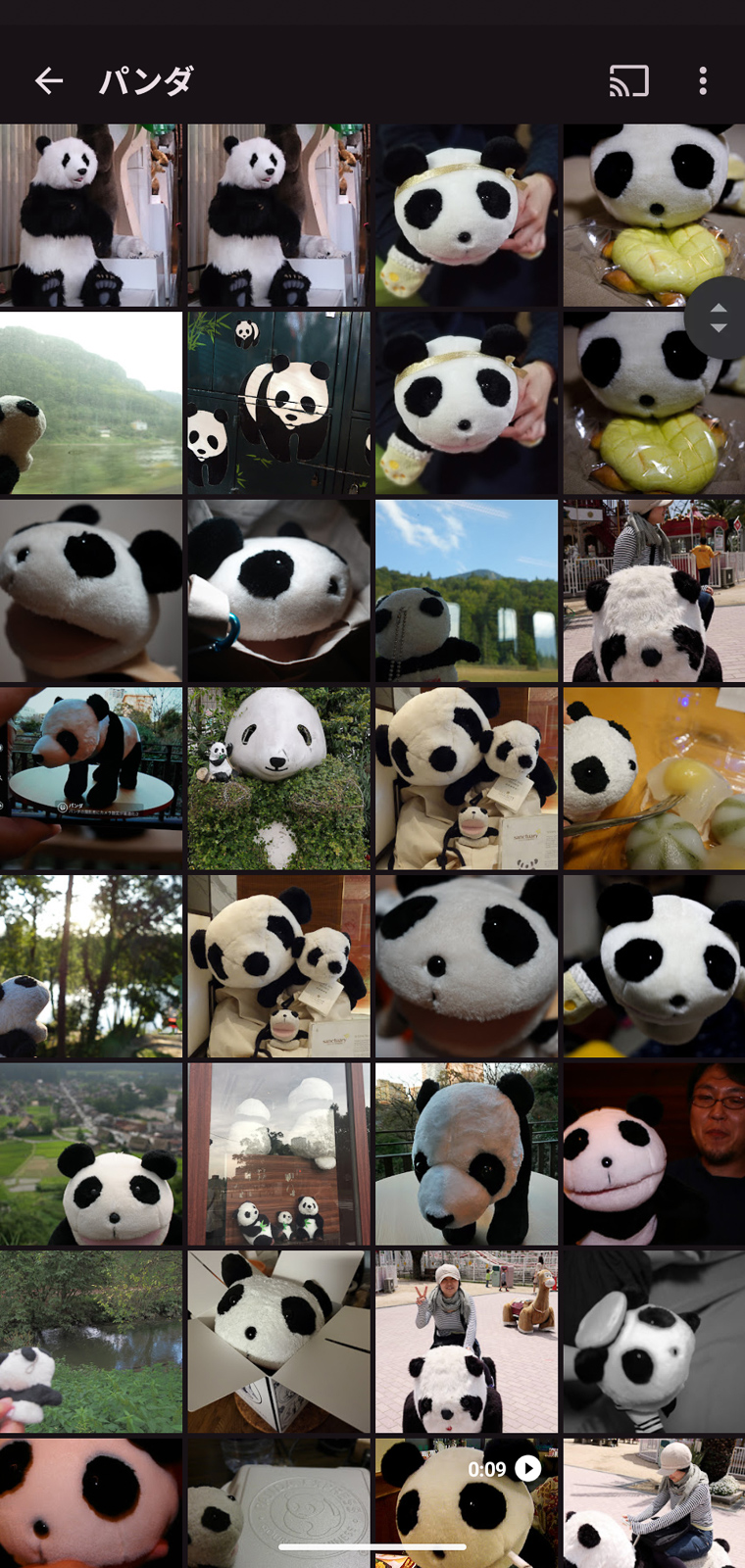 「パンダ」と入力して検索してみました。精度も高く、写真の検索がとても楽です