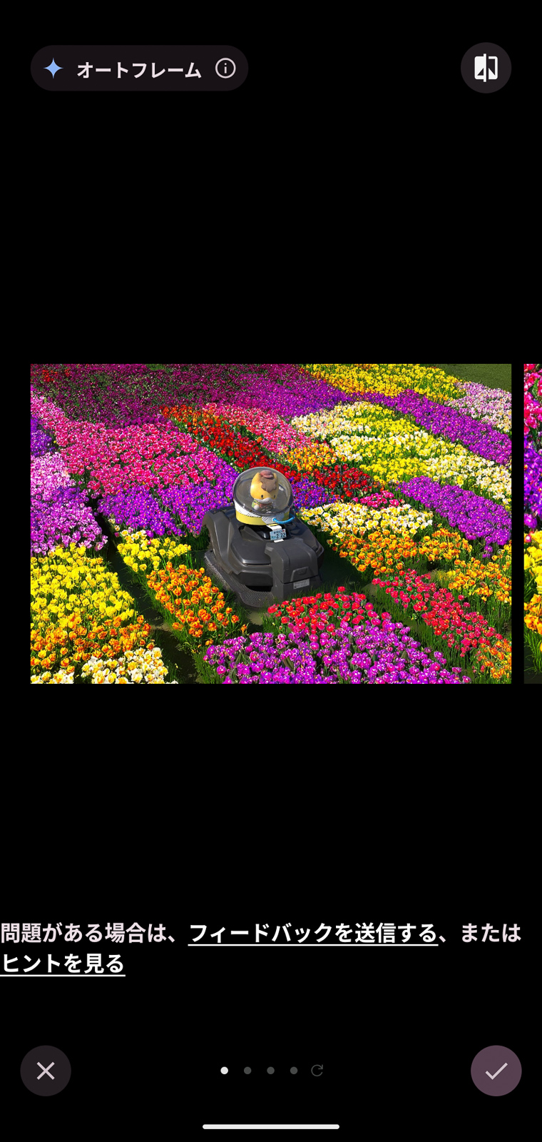 さらに［オートフレーム］で拡張。こういう連続した被写体だと自然です