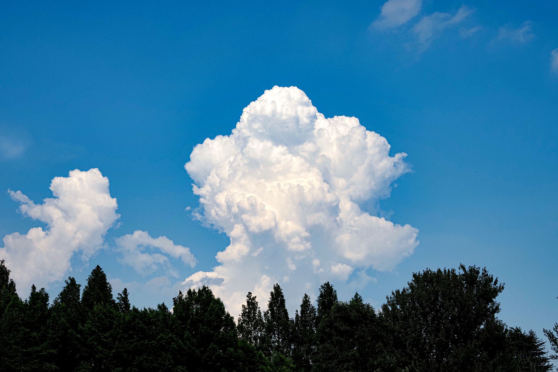 拙宅仕事場の天井付近温度は毎日35度オーバー。エアコン使っても33度とか。人体付近の気温は29度くらい。そして屋外の気温計測用強制通風筒設置場所じゃなくて路上とかの気温は40度前後。あっつ。