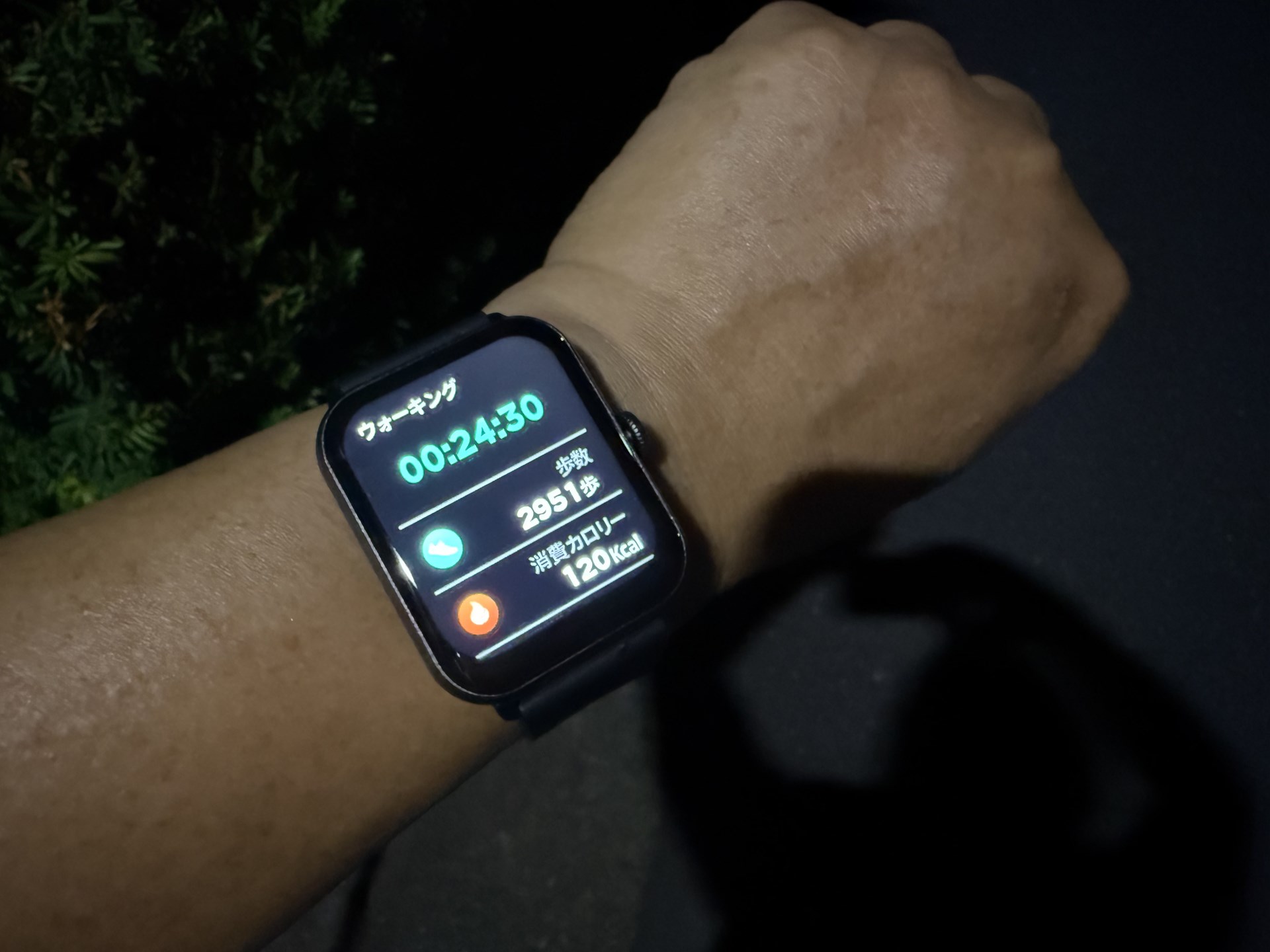 ウォーキング中の画面例。画面が大きく情報は見やすいが、現在時刻が表示されないのが不便