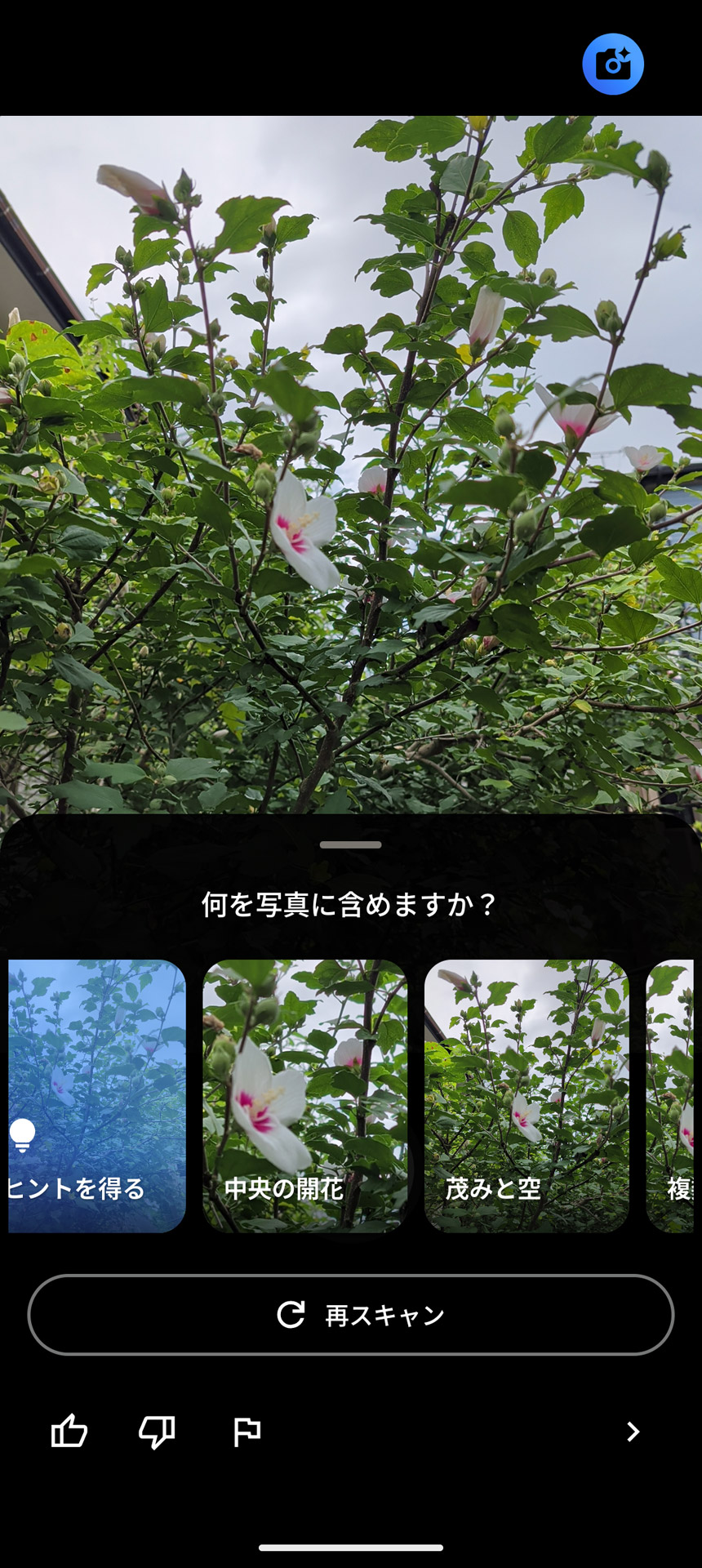 撮影しようとしているシーンが分析され、何を重視して撮影したいかを決める選択肢が表示