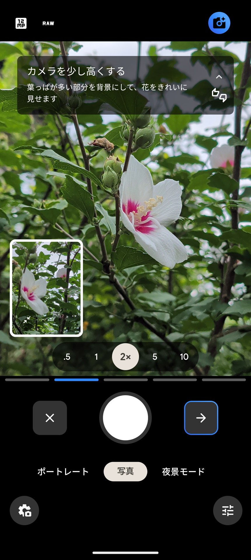 ステップバイステップでアドバイスされ、それに沿って操作すれば見栄えのする写真に仕上がる