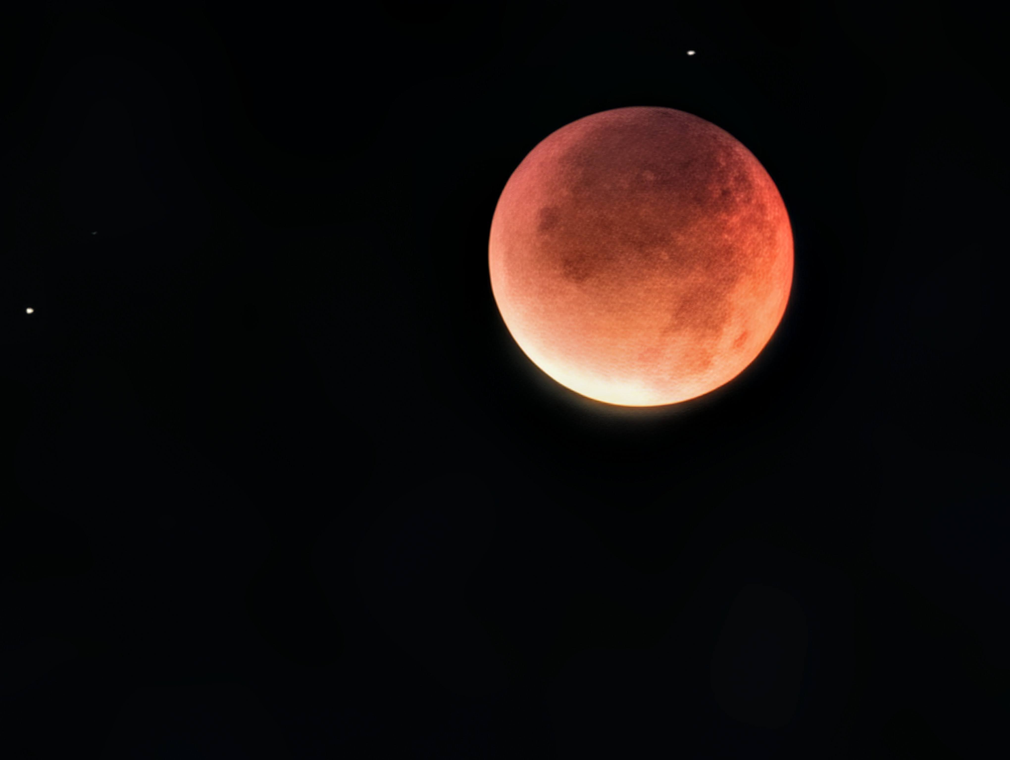 30倍程度（だったはず）で撮ったもの