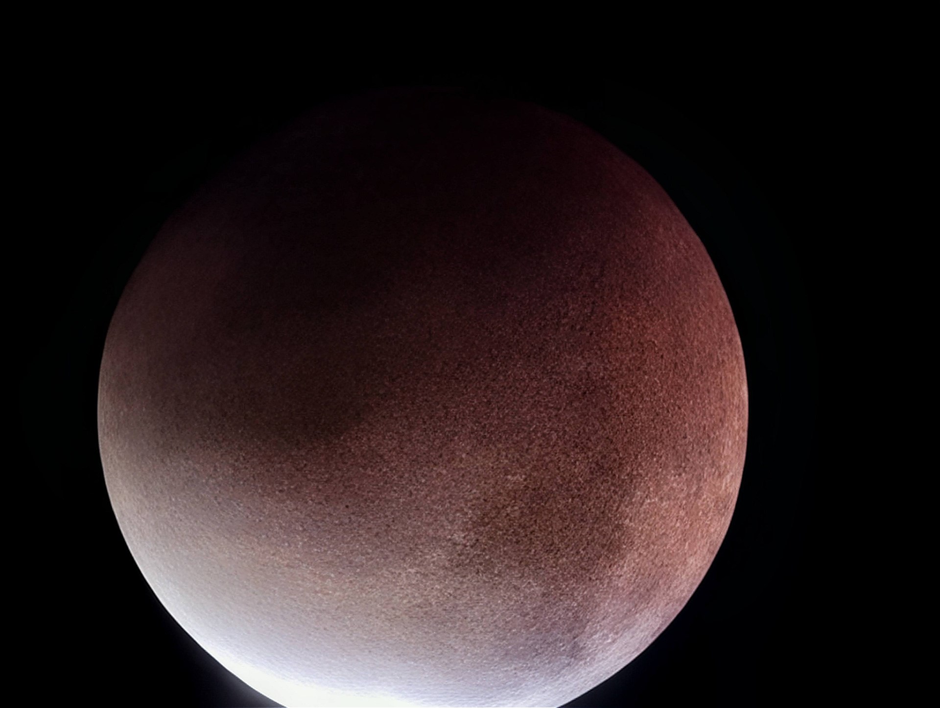 シャッターを切った瞬間にブレて「あああっ……」となった写真たち