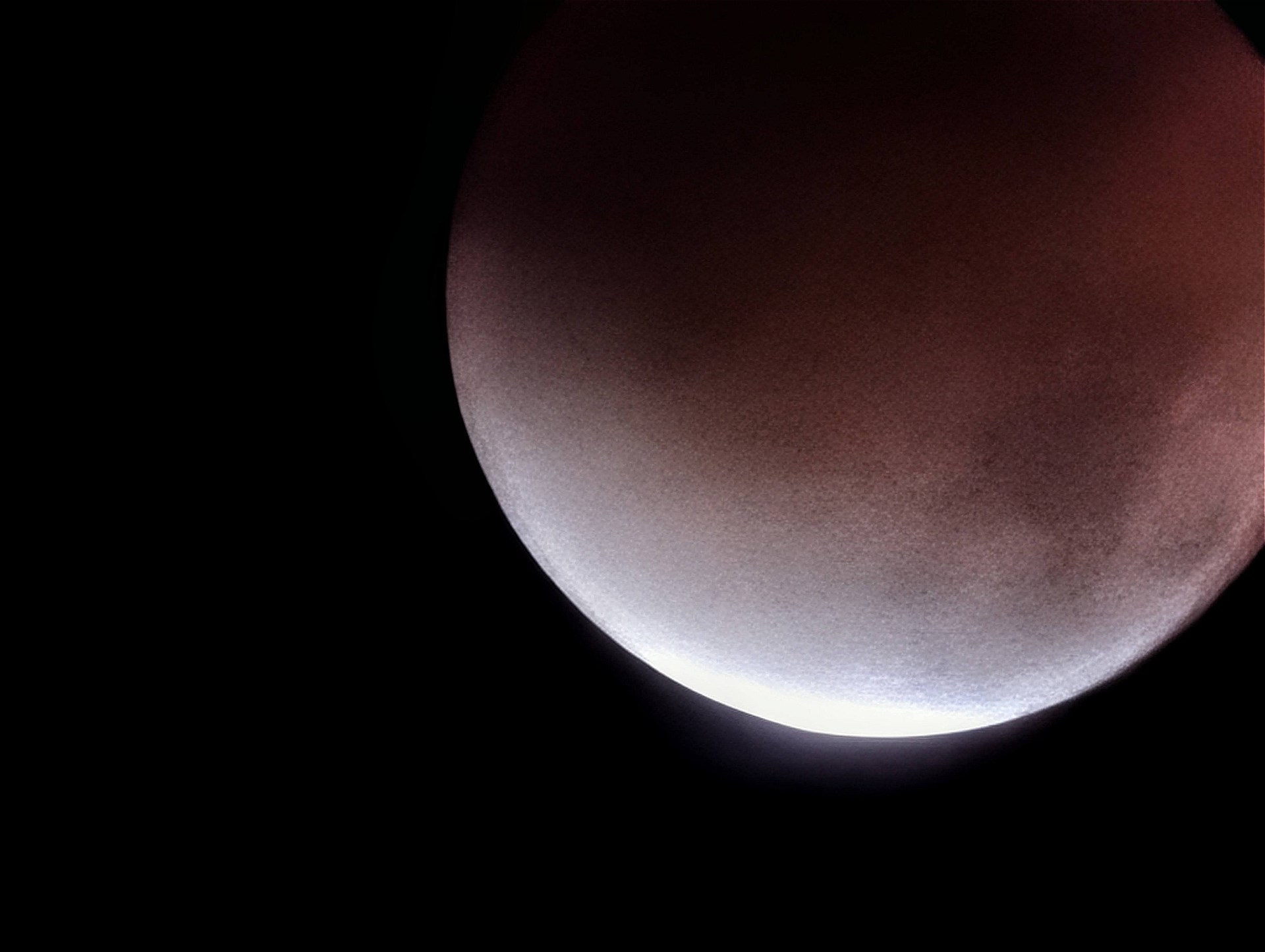 シャッターを切った瞬間にブレて「あああっ……」となった写真たち