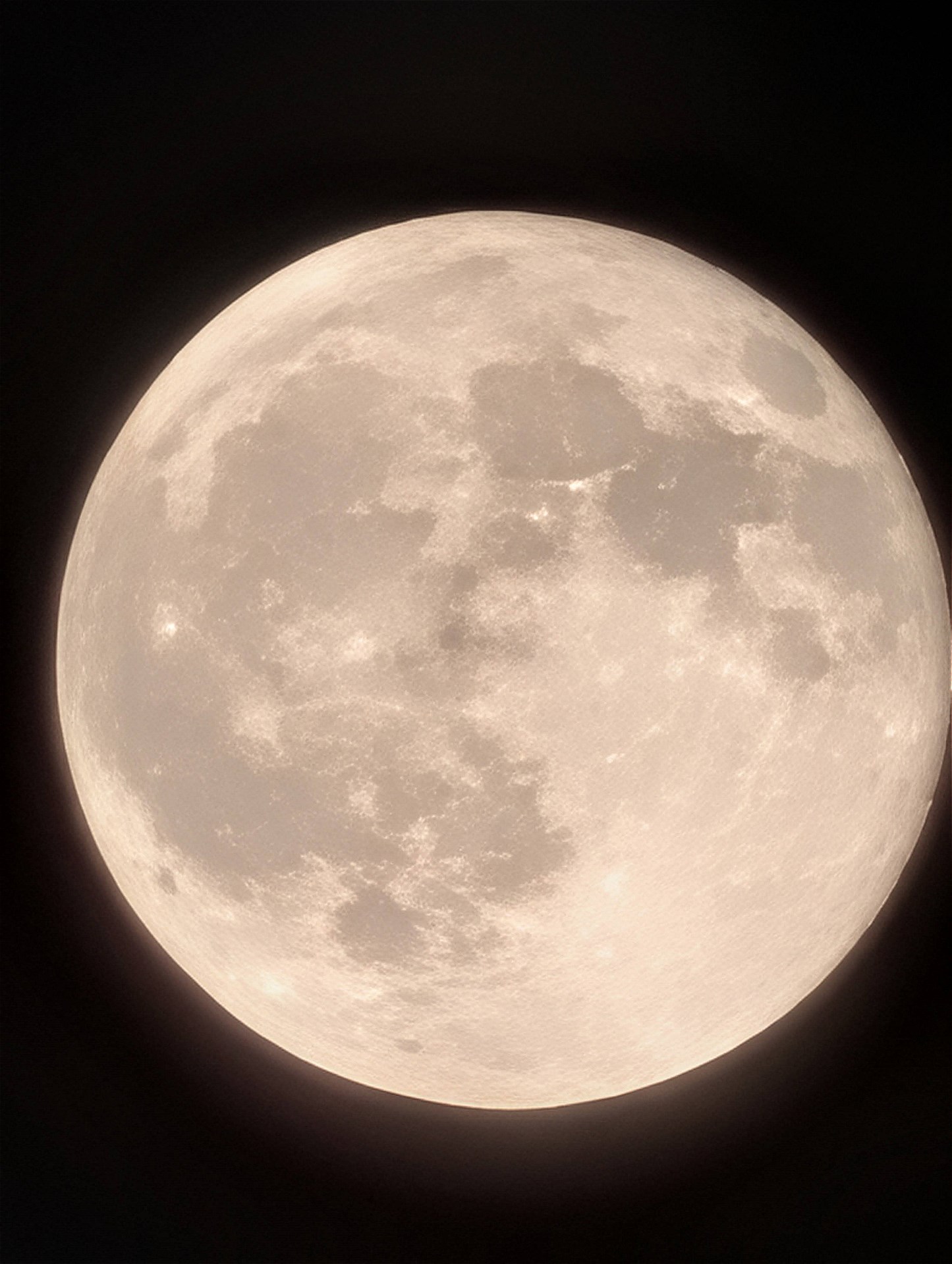 超解像ズームProで処理されたもの