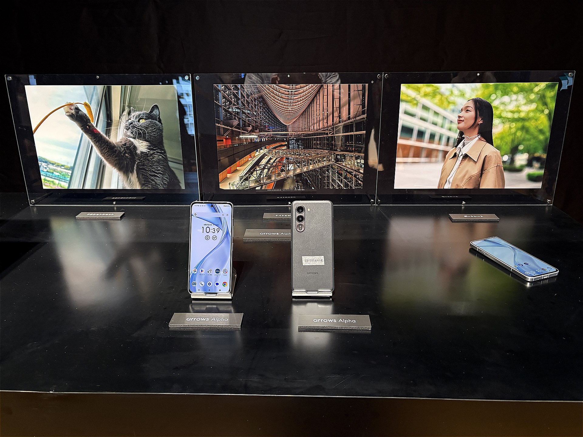 6月の発表会で示された作例