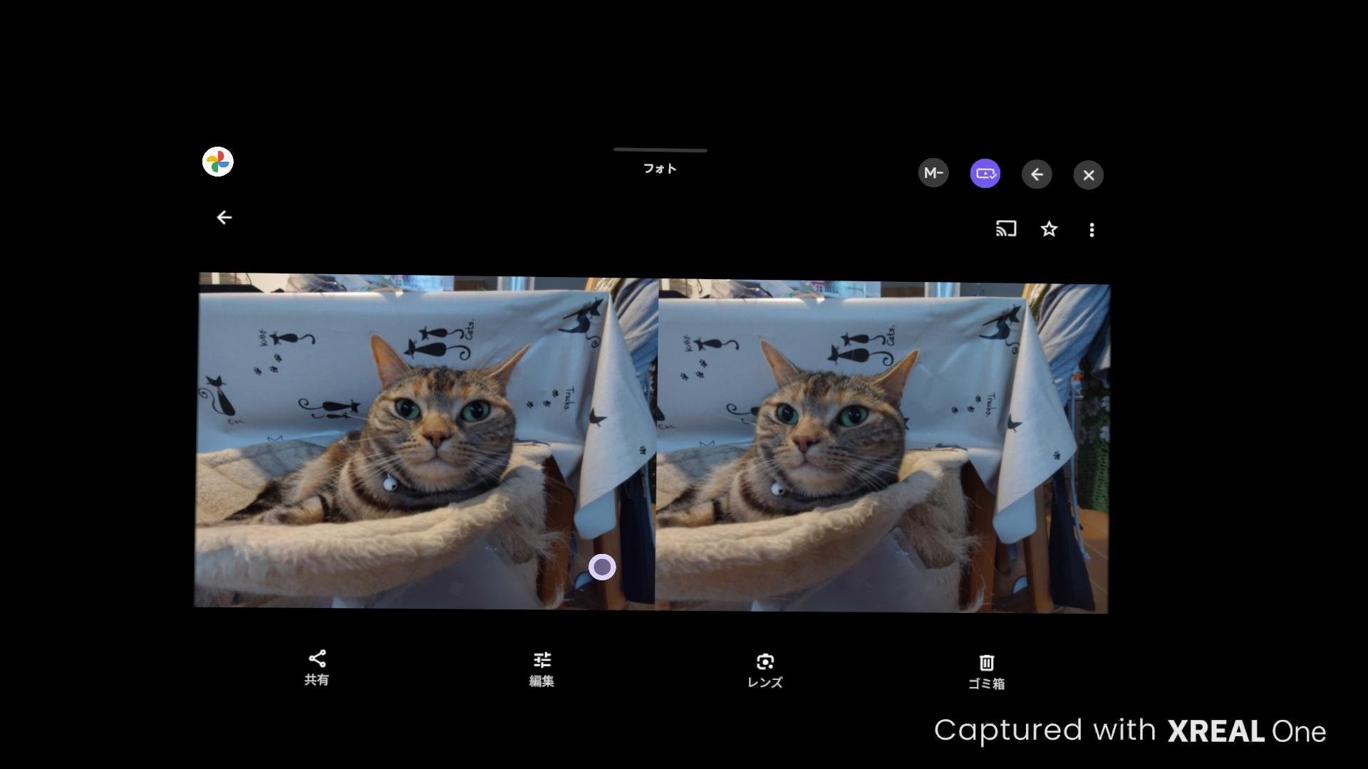 実際に撮影された写真。Googleフォト内では、このようにサイド・バイ・サイドで分割された写真でしか表示できない