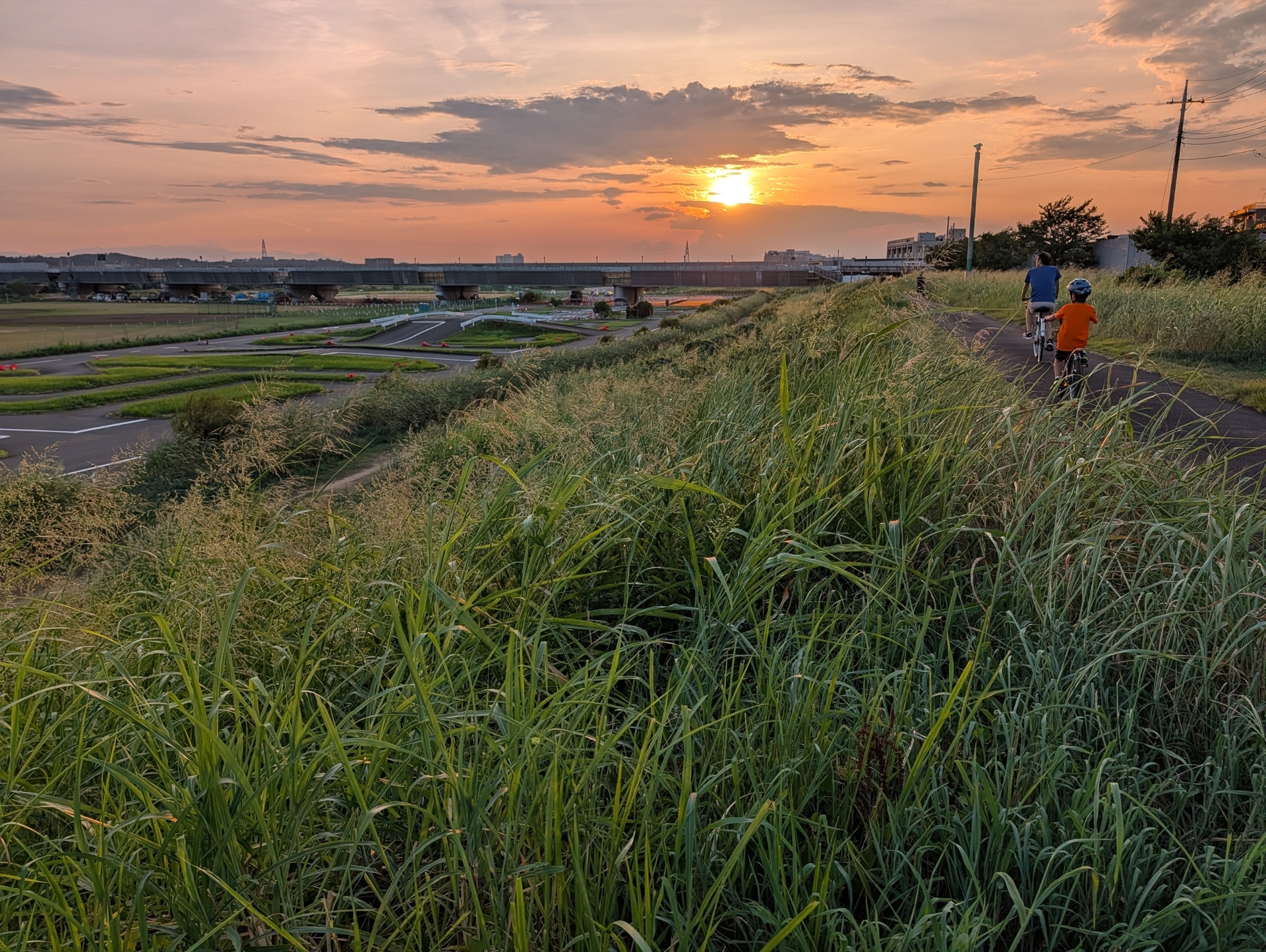 夏の夕暮れ。太陽の沈む位置がだいぶ変わってきた。風にそよぐ草の葉のディテール、太陽のハイライト、自転車の親子まで「Pixel 10 Pro XL」のHDRは見た目同様に写しとってくれた