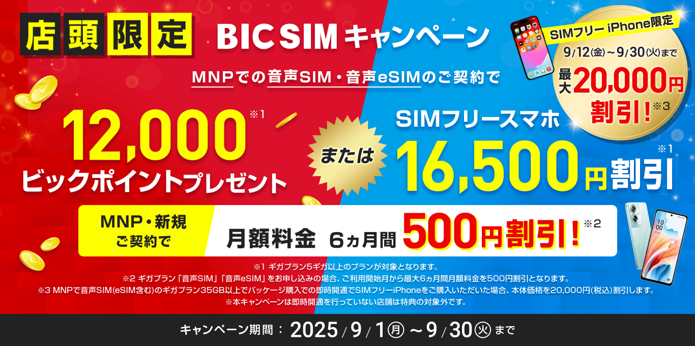 	https://bicsim.com/campaign/sim_cp900-shop.html