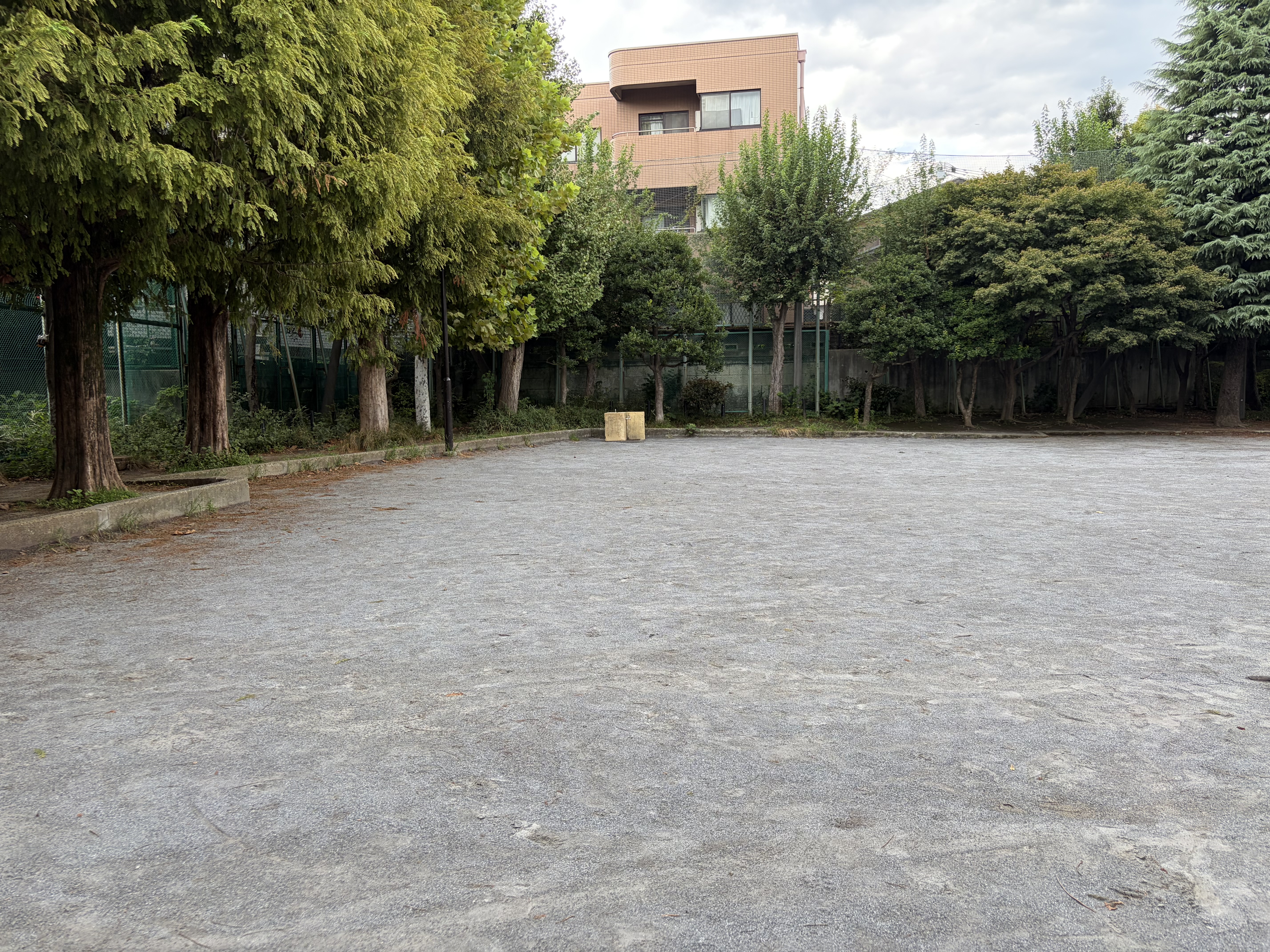 iPhone Airで撮影（1倍）