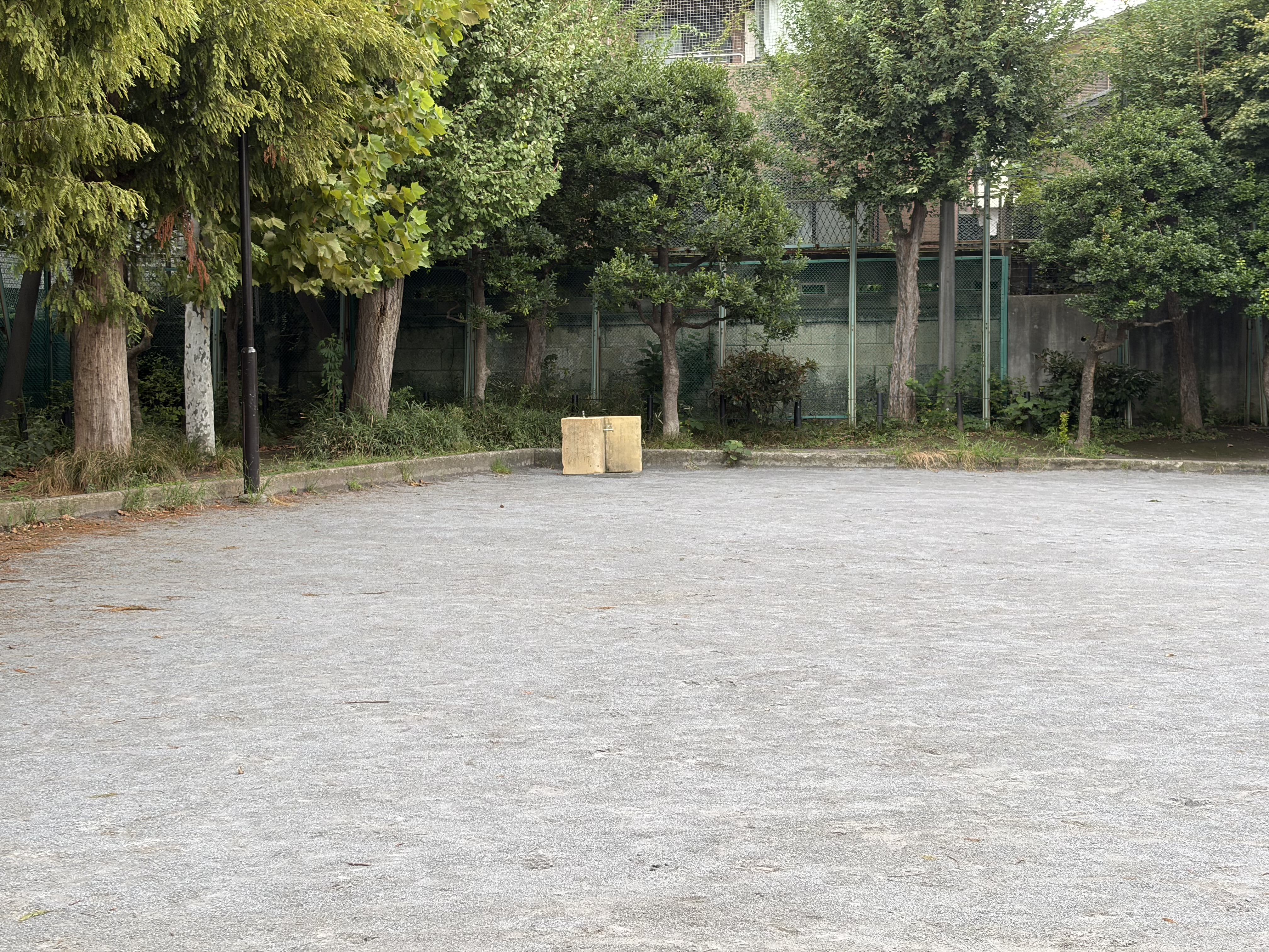 iPhone Airで撮影（2倍）