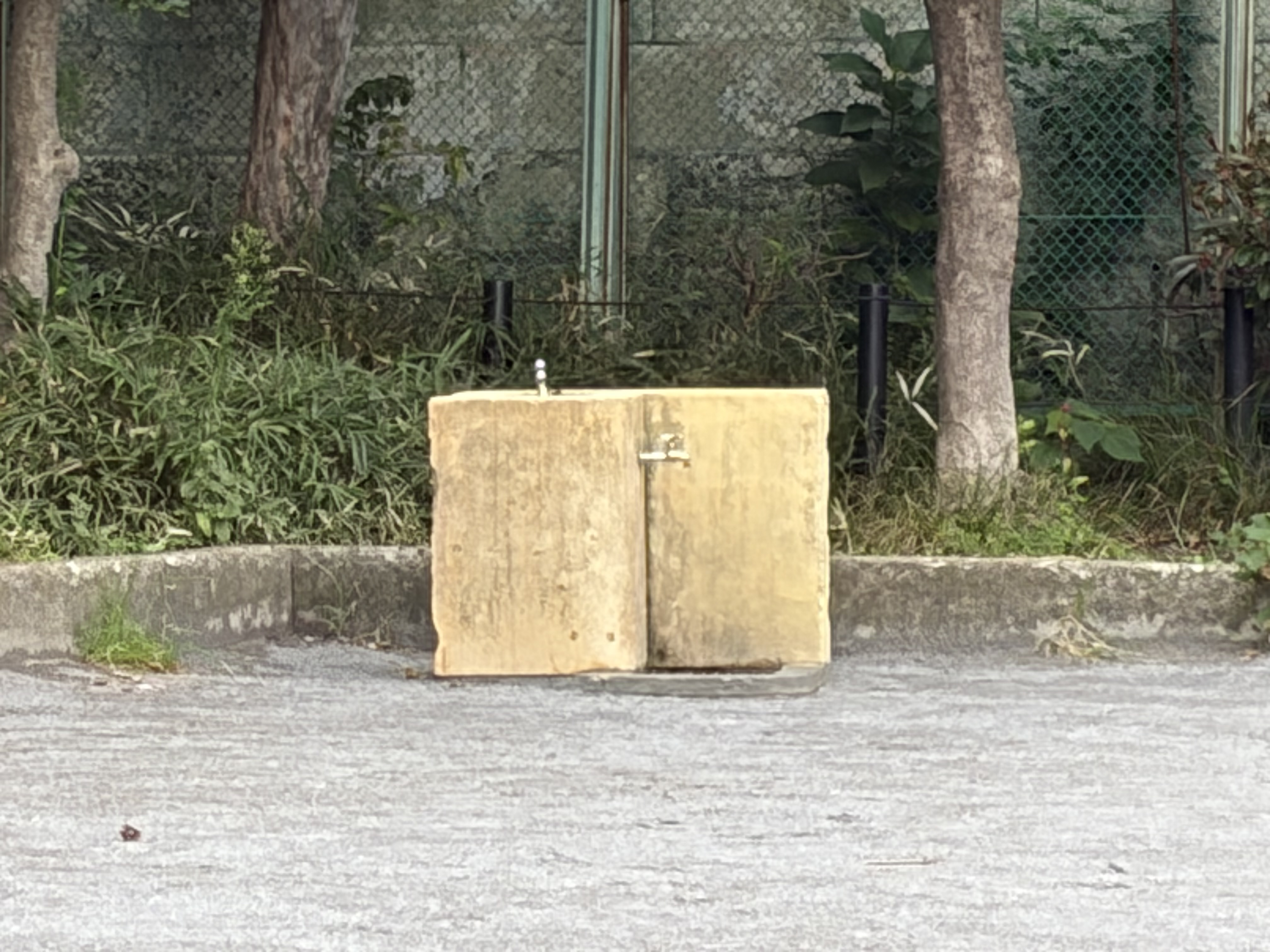 iPhone Airで撮影（デジタル10倍）