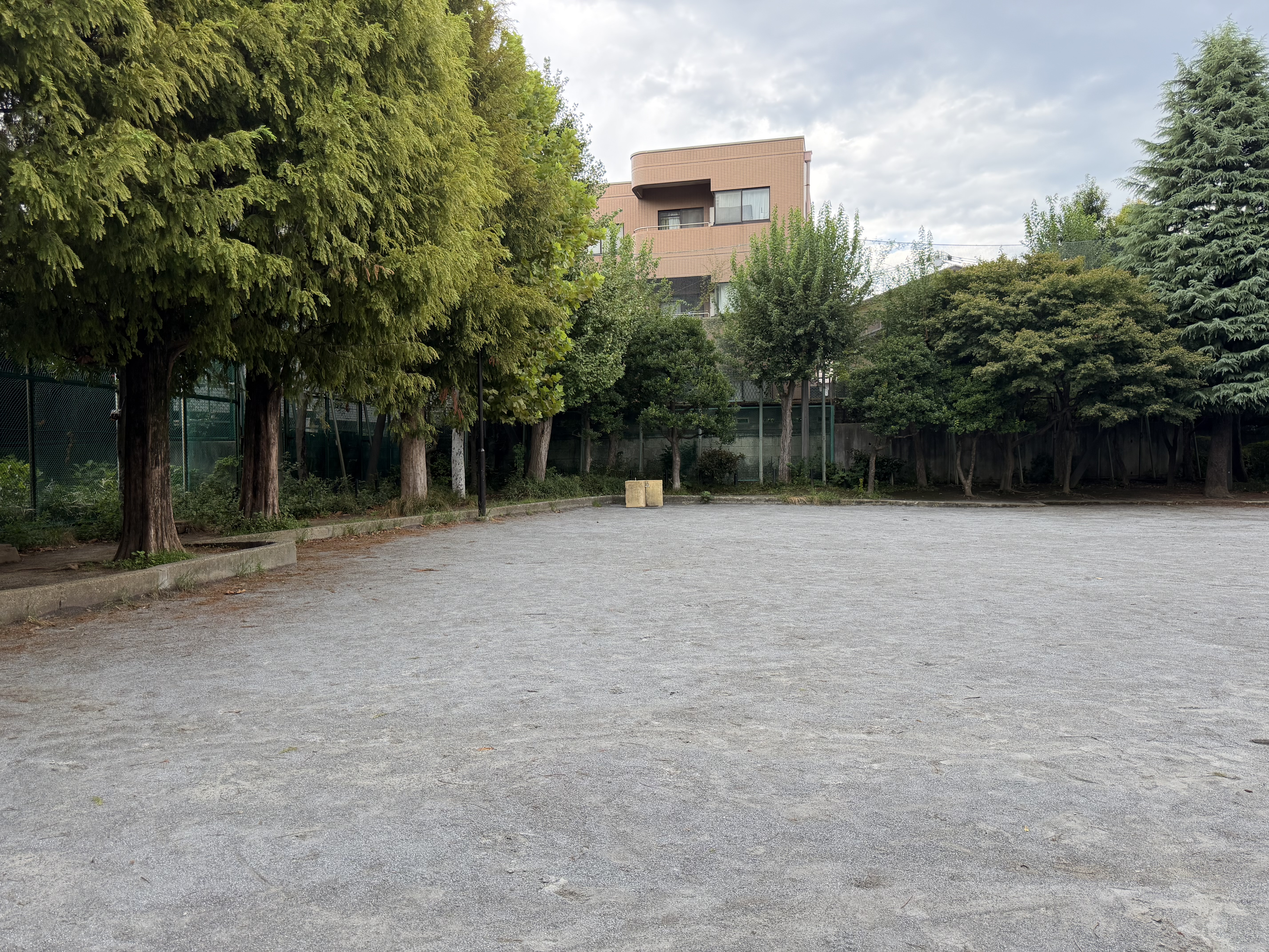 iPhone 17 Pro Maxで撮影（1倍）