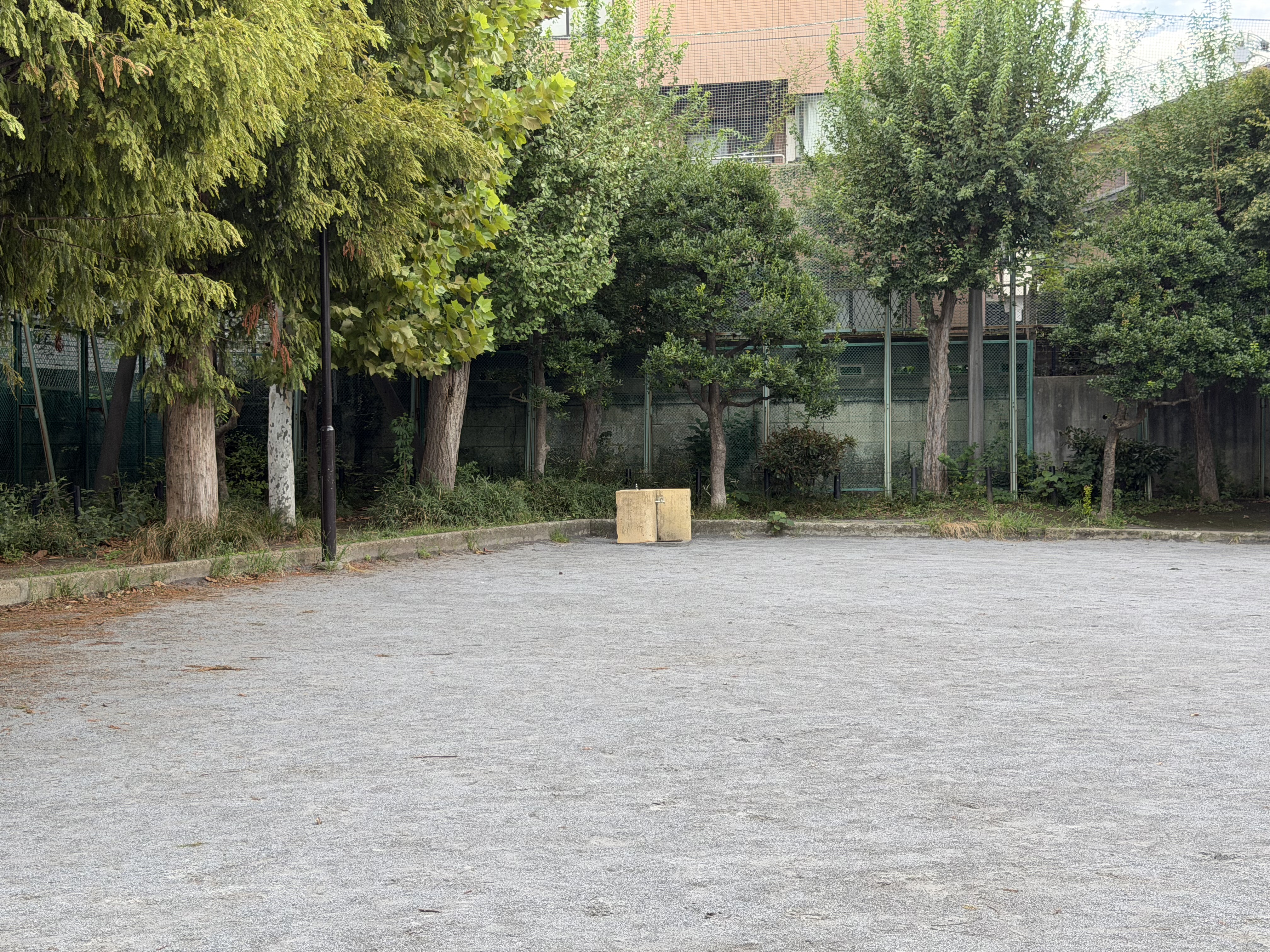 iPhone 17 Pro Maxで撮影（2倍）