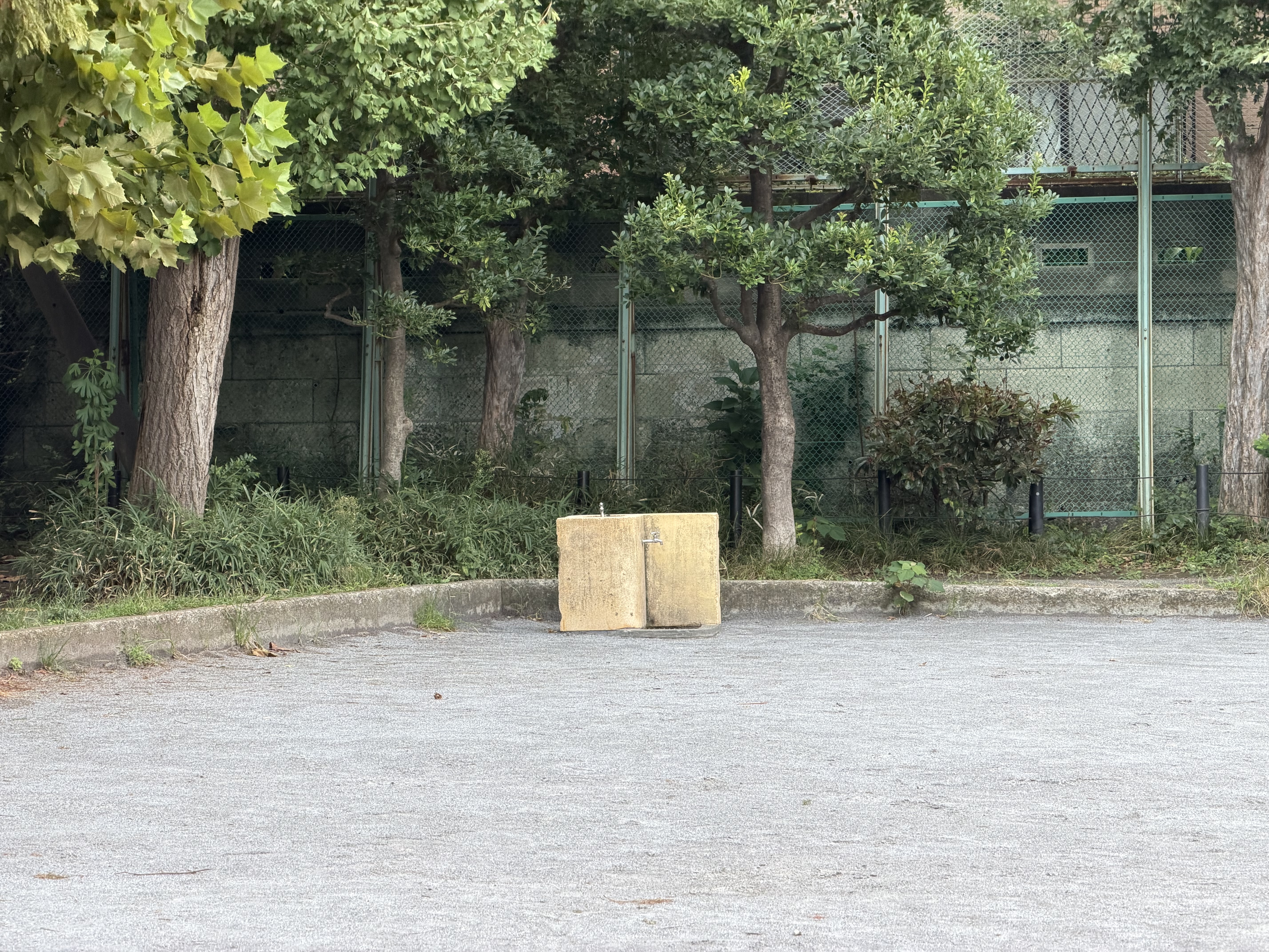 iPhone 17 Pro Maxで撮影（4倍）