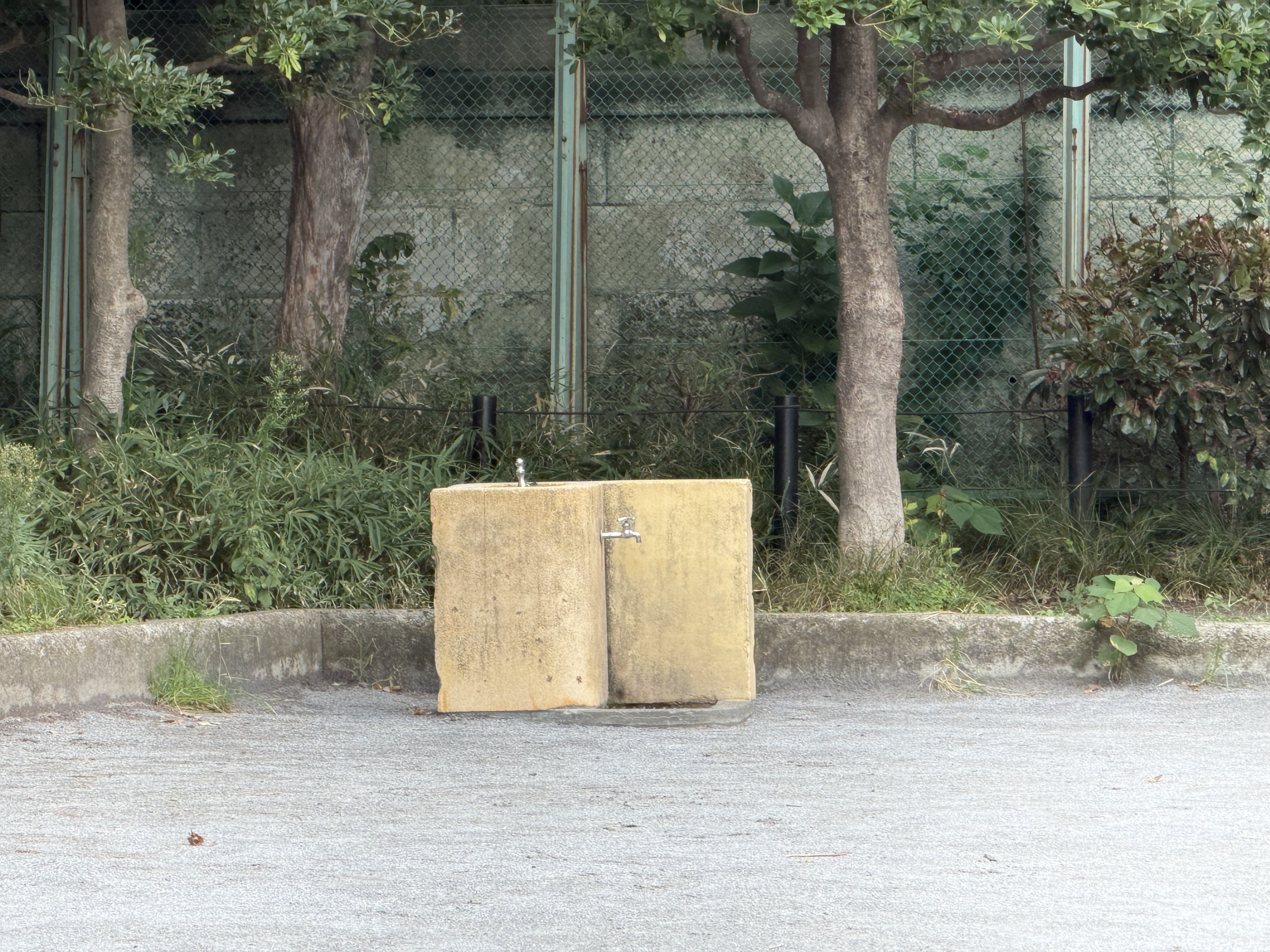 iPhone 17 Pro Maxで撮影（8倍）