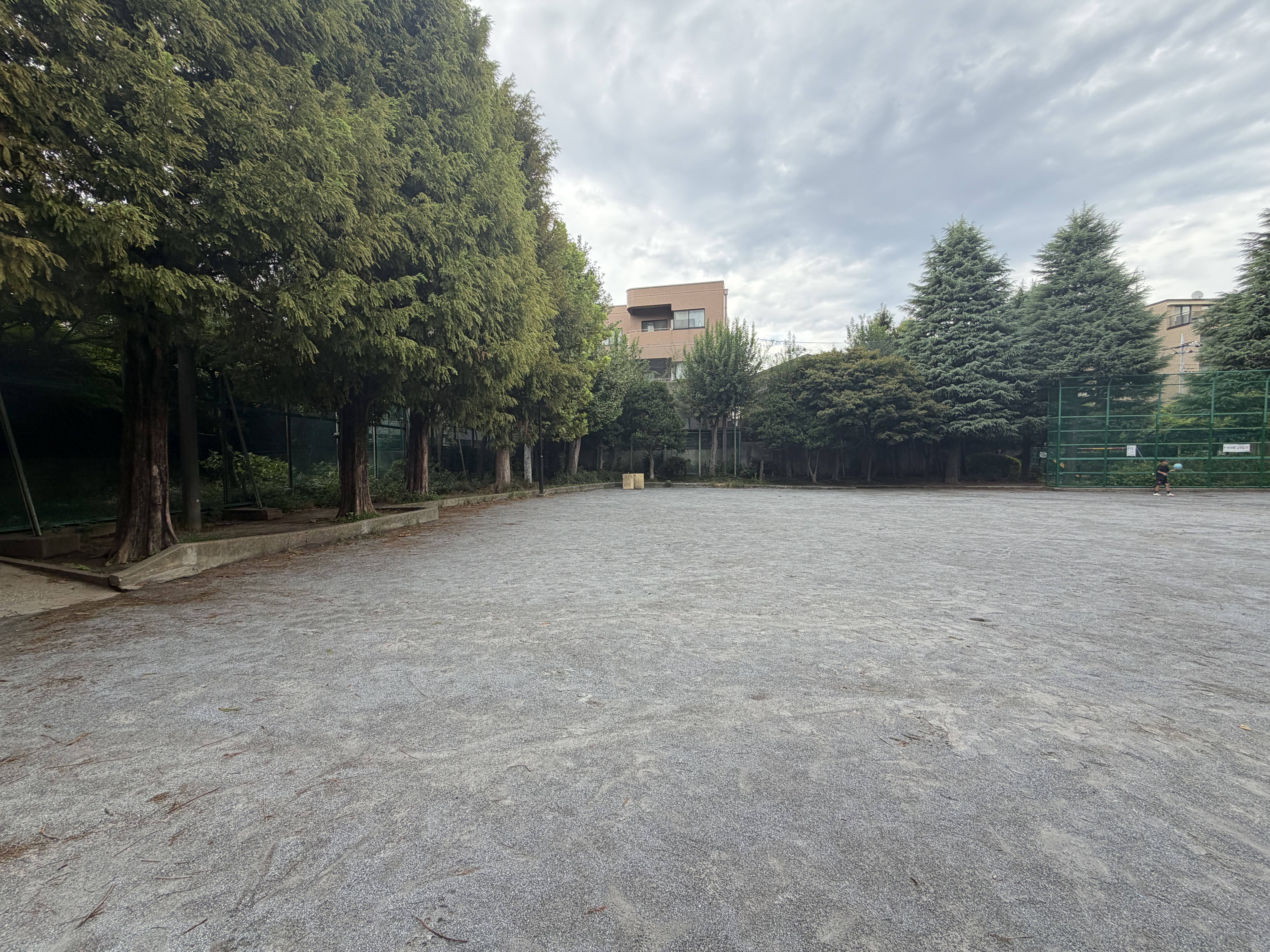 iPhone 17 Pro Maxで撮影（0.5倍）