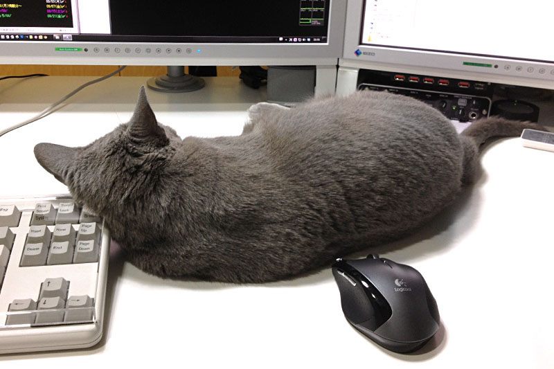 2012年の夏、猫がキーボードを枕にしまくった。キーボードの上に乗ったりも。猫がbackspace押しっぱなしで書きかけ原稿が消えたことがあった（ctrl+zで回復できたが）。これを防止するためにキーボードルーフを導入。キーボード不使用時や猫が来たときにルーフを使うことで、猫によるキー押下を完全に防げるようになった