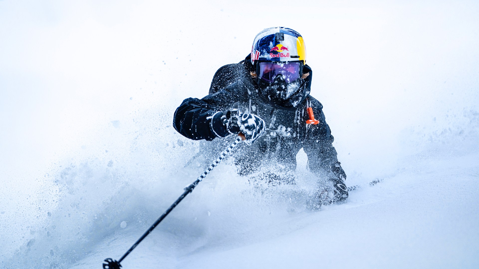 「World of Red Bull」