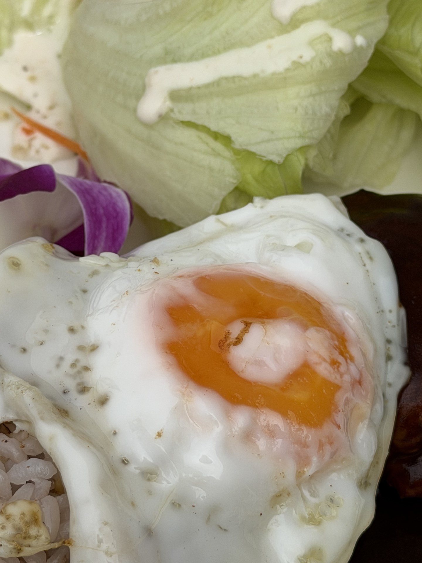 望遠カメラは使いやすくなった。前モデルの5倍はちょっと長すぎた。2、4，8倍とでロコモコを撮ったが、これくらいのレンジの方が使いやすい