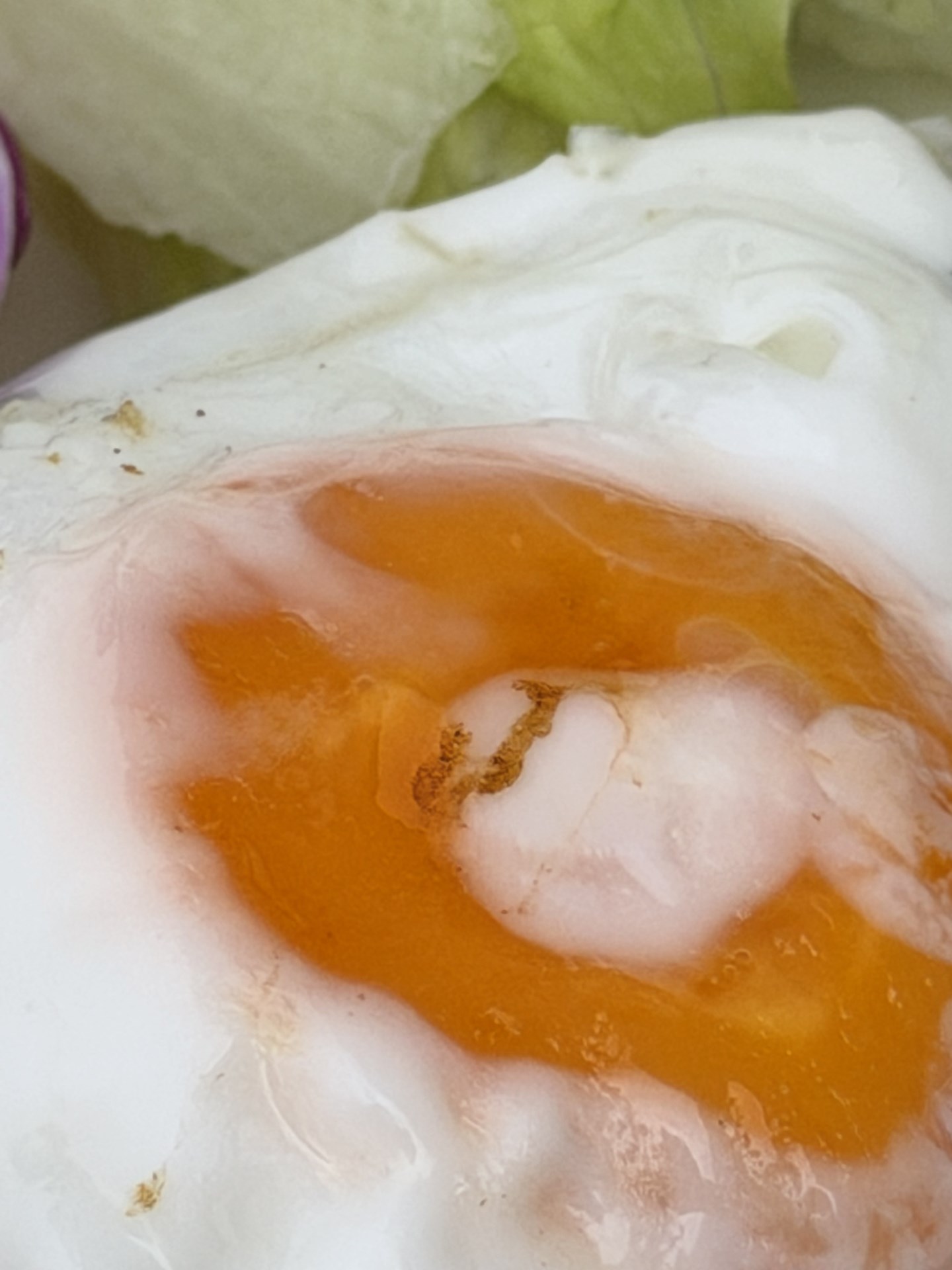 望遠カメラは使いやすくなった。前モデルの5倍はちょっと長すぎた。2、4，8倍とでロコモコを撮ったが、これくらいのレンジの方が使いやすい