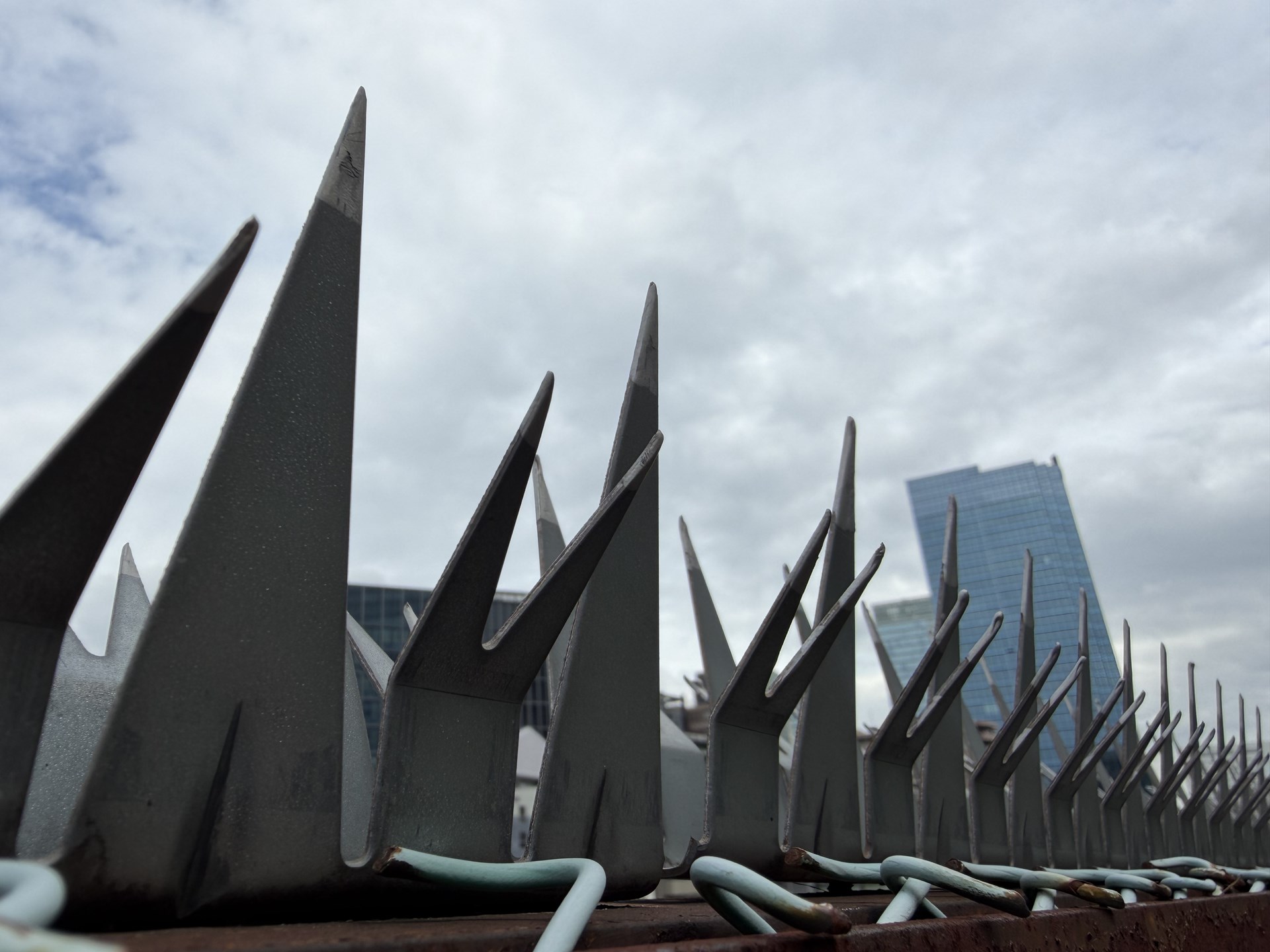 マクロモードで線路脇にある突起に迫った。パースを活かした近接撮影が楽しめる。フードなどの撮影では自機の影が写ってしまうことが多いので、新しくなった望遠カメラをテレマクロ的に使うのがいいだろう