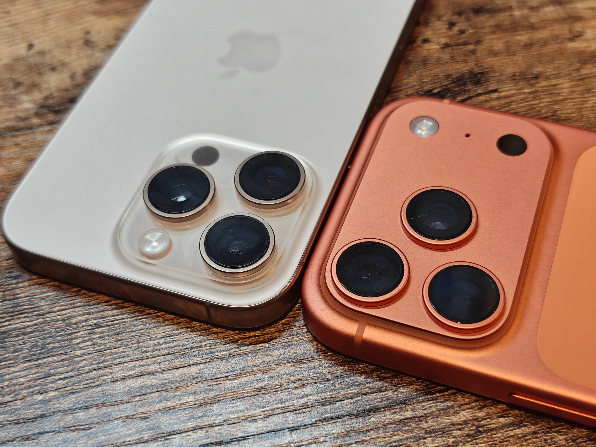 やっぱり望遠カメラは魅力