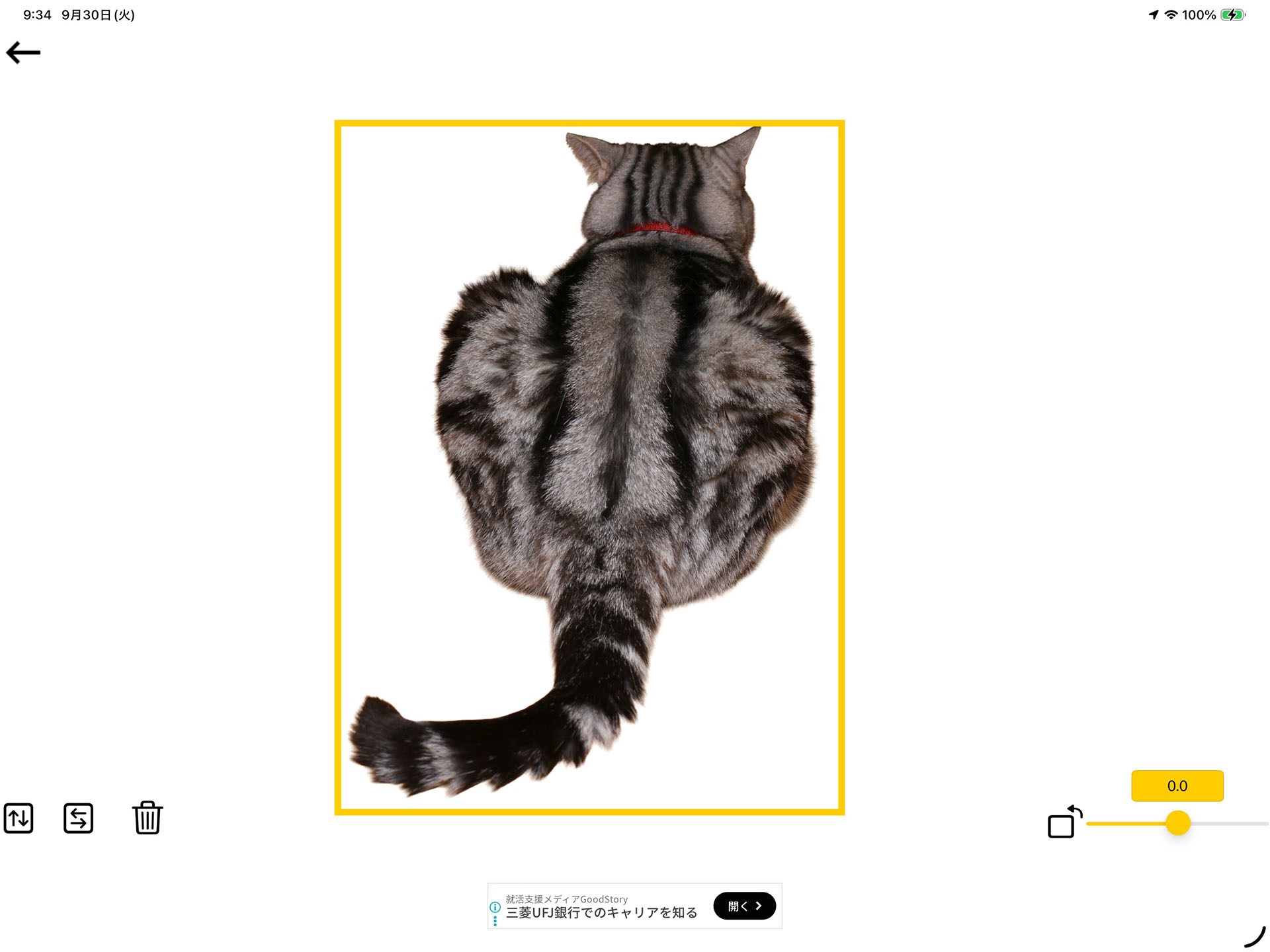 「トレーシングマット」アプリの表示例（13インチiPad Proで横表示）。明るさや画像サイズは自由に設定できる。トレース時は枠やアイコンを消すことができ、画面タッチに対してiPadなどをほぼ無反応にできる。ただし、下に見える広告アイコンに触れると広告表示となる。