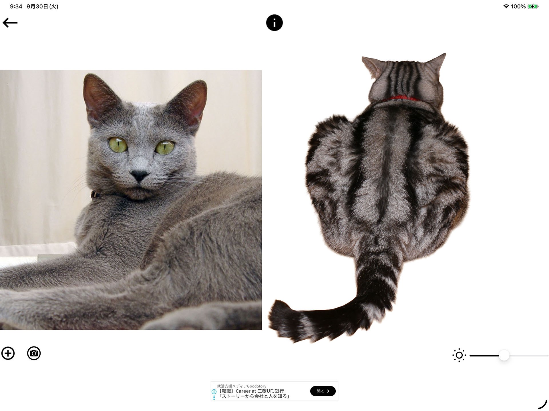 複数の画像を表示し、それらを元絵としてトレースすることもできる。