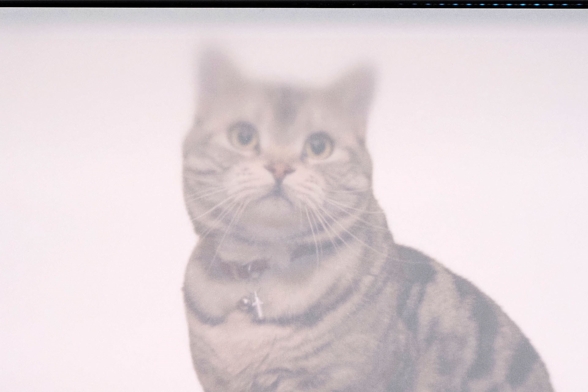 少し厚手のトレーシングペーパーの場合、元絵の細部までトレースできる程度透過する。猫耳部分がボケているのは撮影時にトレーシングペーパーが「画面から浮いてしまった」から。テープで止めて密着させればクリアに透過する。