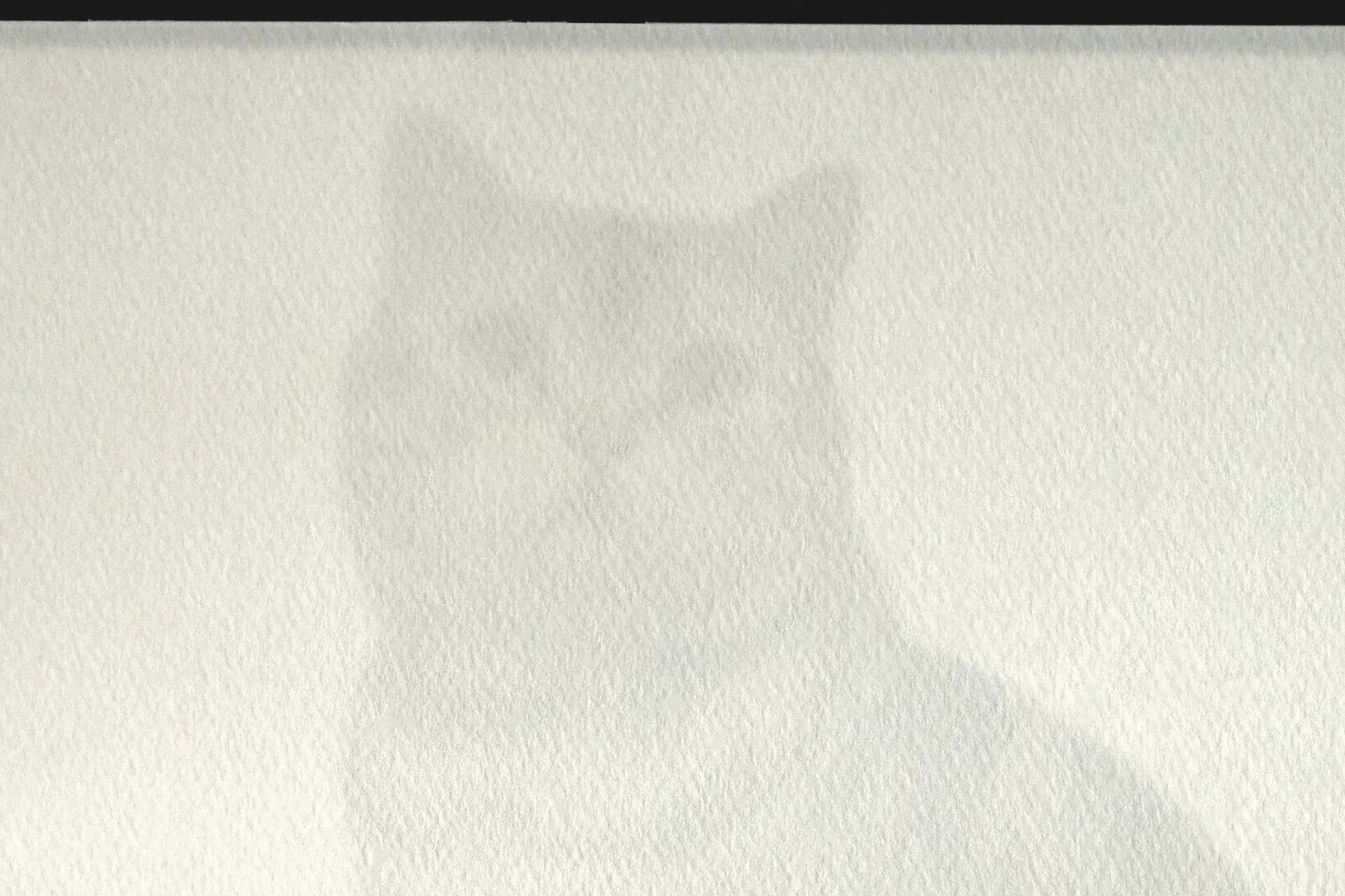 ワトソン紙（300g）の場合、元絵の輪郭はそこそこトレース可能。元絵のコントラストが高ければ細部もある程度トレースできる。元絵が写真ではなく、黒く濃い線で描かれた線画ならよりトレースしやすい。