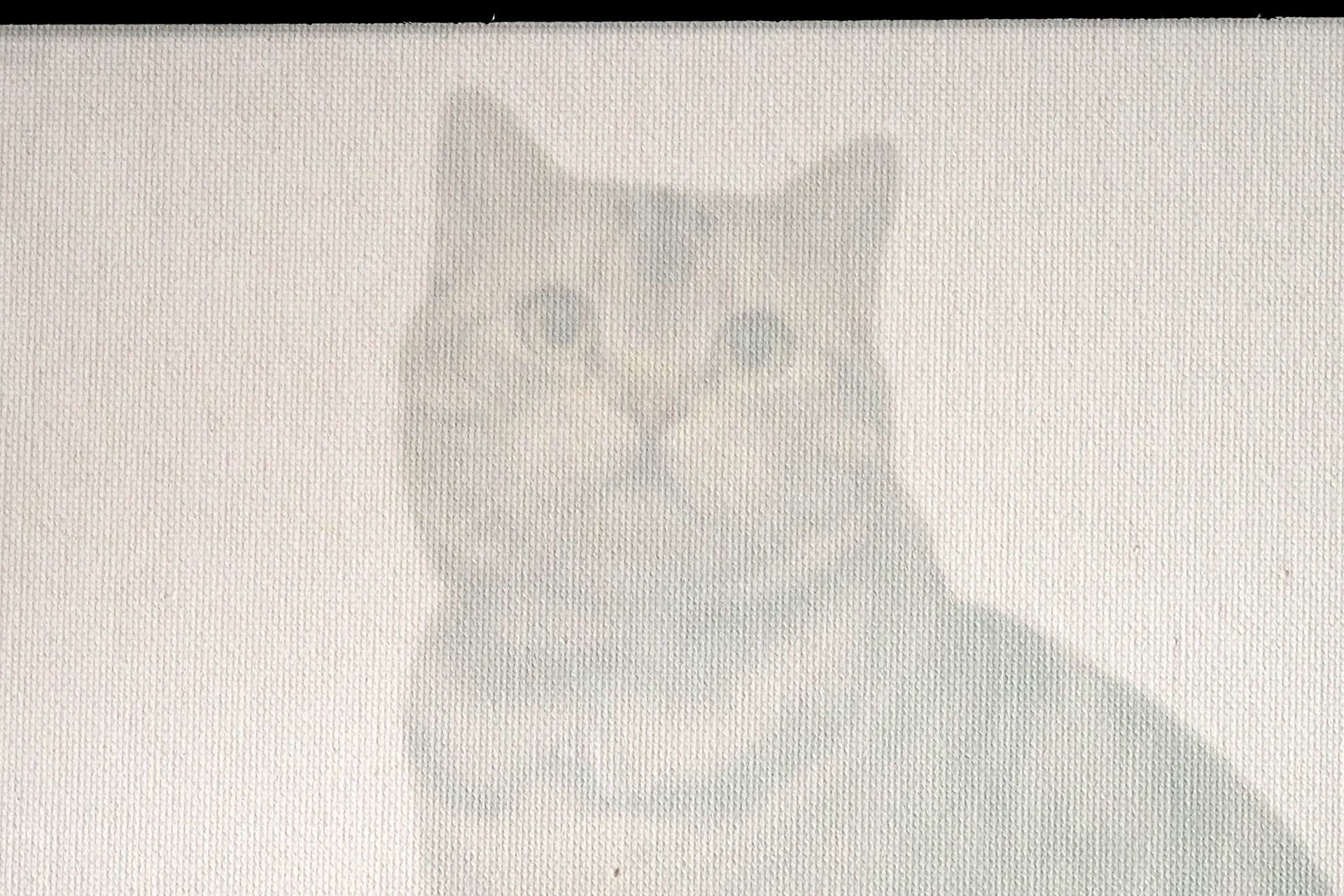 キャンバスの場合、ワトソン紙とだいたい同様もしくはより快適にトレースができる。このキャンバス地は下地処理済みの、わりとフツーの油絵・アクリル絵用のキャンバス地だ。