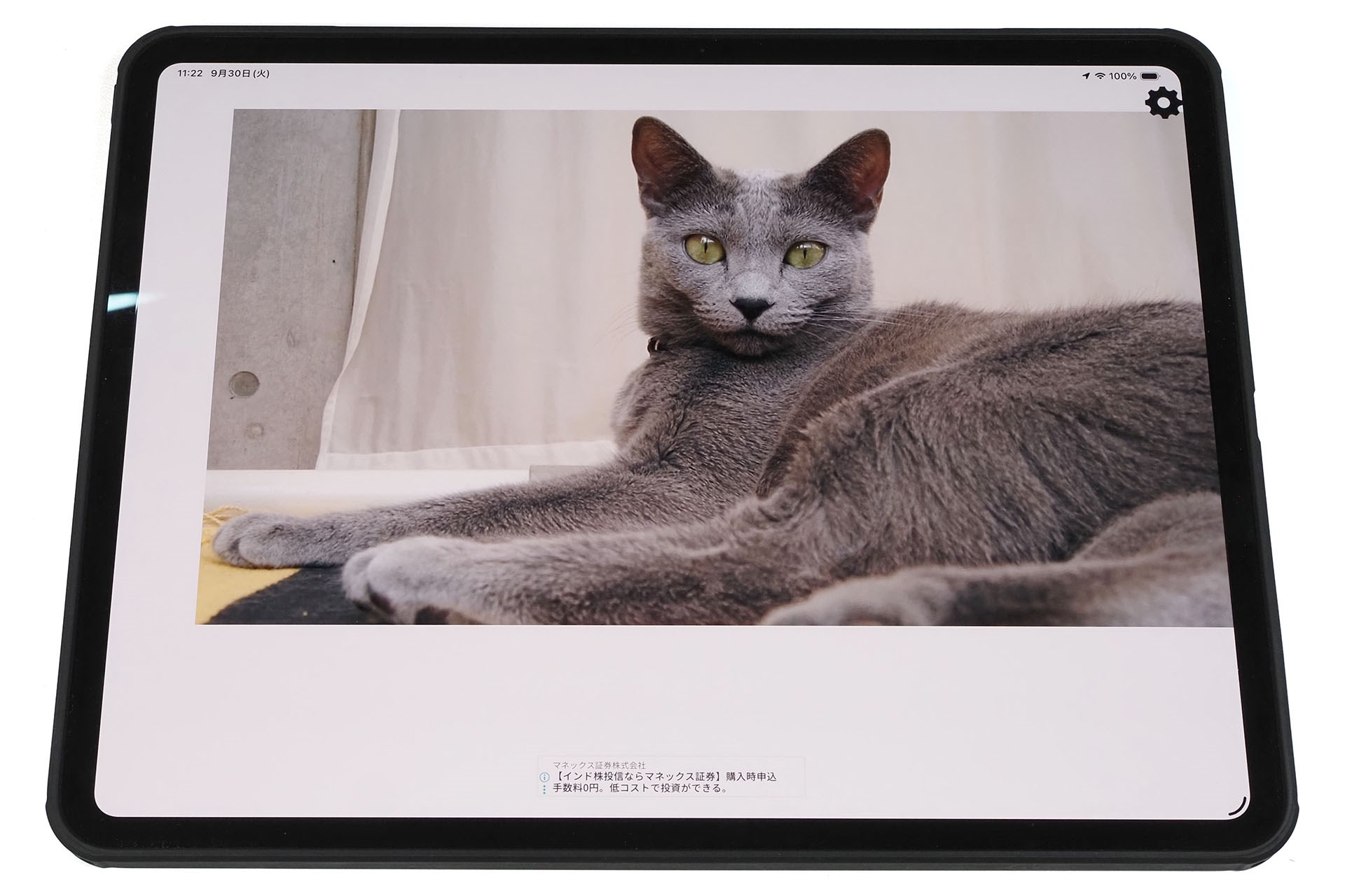 iPadとトレーシングマットアプリで「普通のトレースでよく行われる2度のなぞり描き」を再現してみる。まずは下絵を用意。