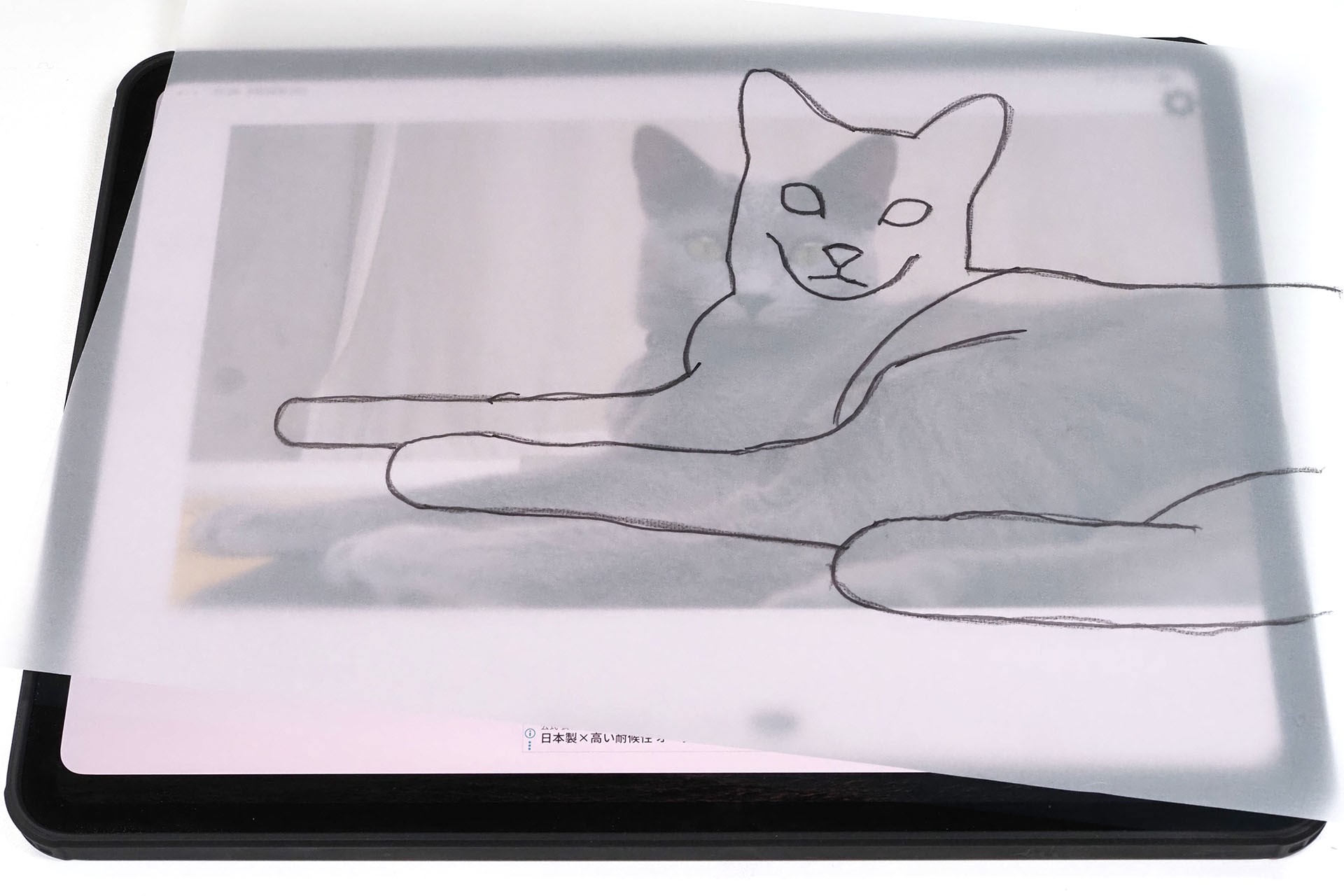 ペンなどで下絵をトレースする。必要に応じて輪郭のみとか細部までしっかりとか。