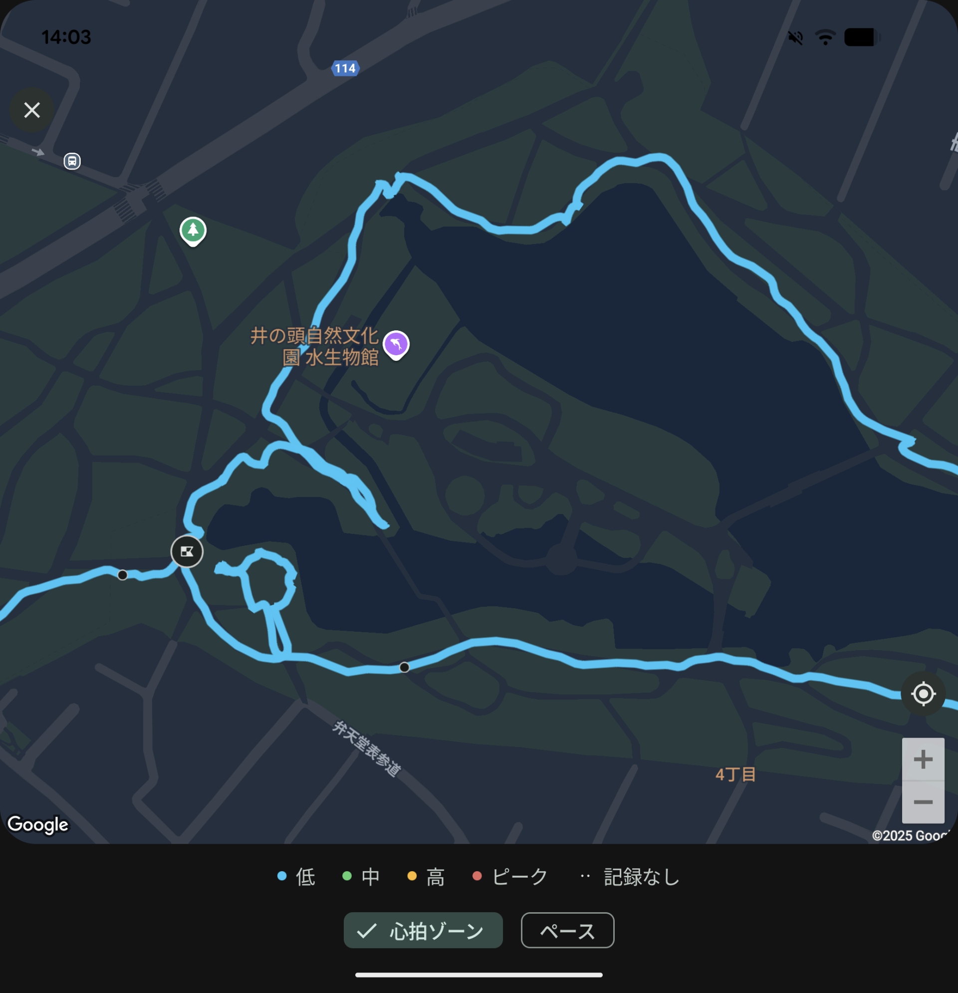 このように撮影ルートとバイタルのデータをFitbitで確認でき、「Pixel Watch 4」と組み合わせた活用も興味深い