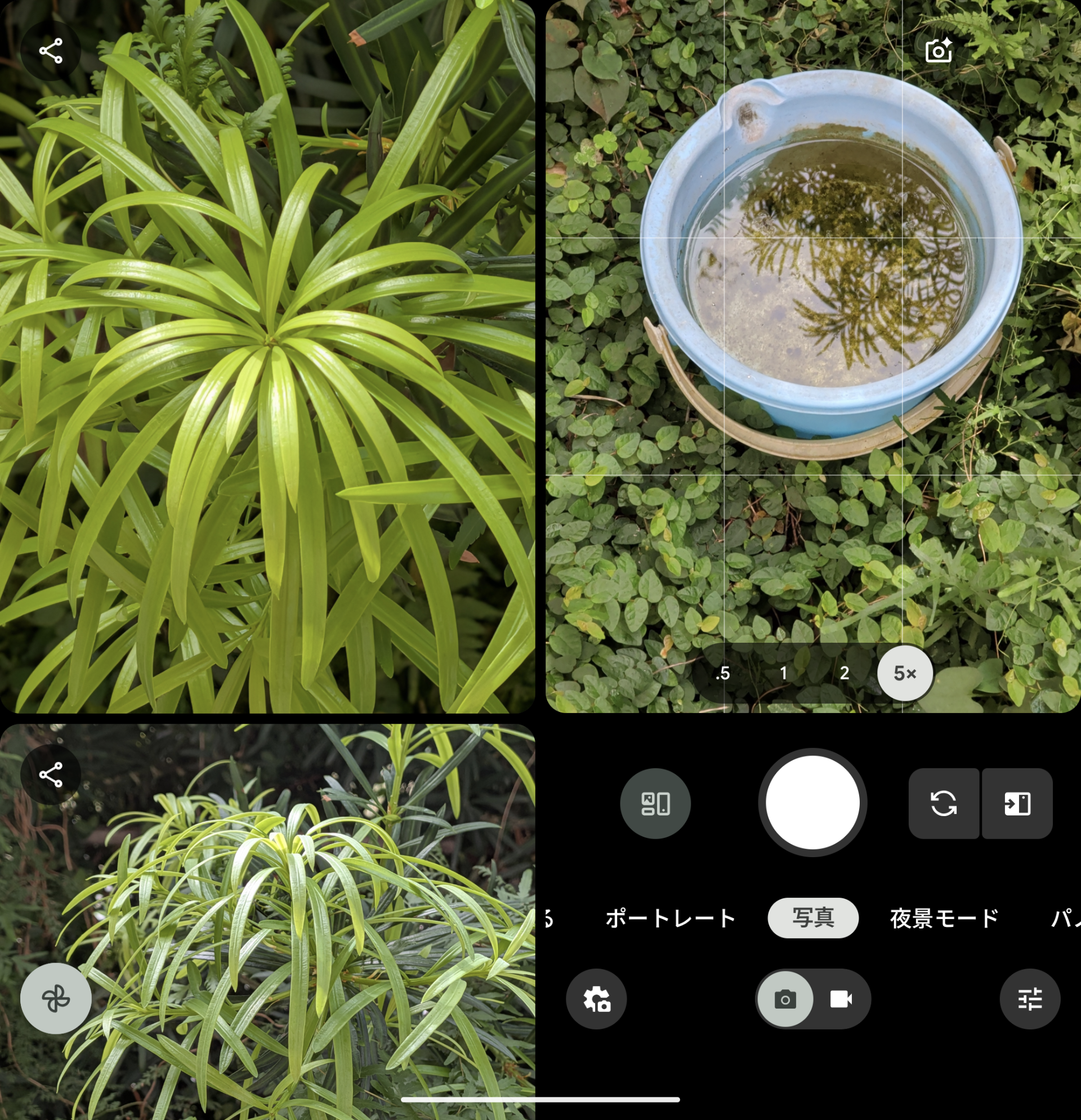 「写真のプレビュー」をオンにすれば、開いたスタイルで撮りながら、サイドの画面で前の撮影結果を大きく表示できる。これは使いやすい