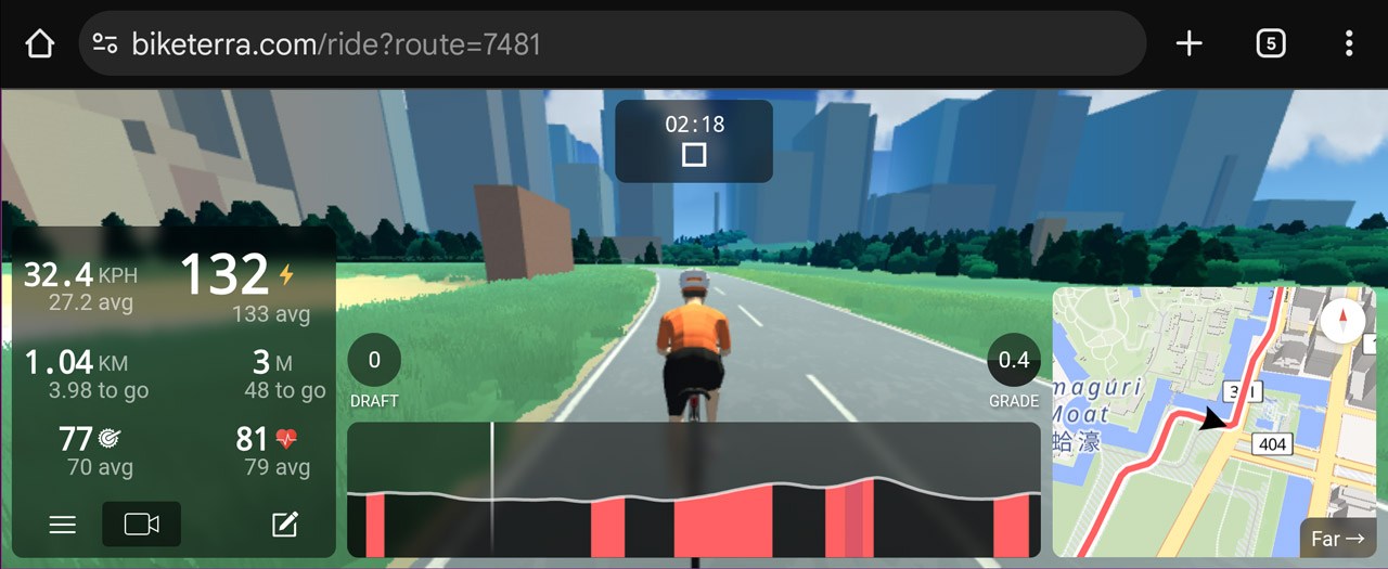 緑の多い皇居周辺ではあるが、なんか違うな～という感じ